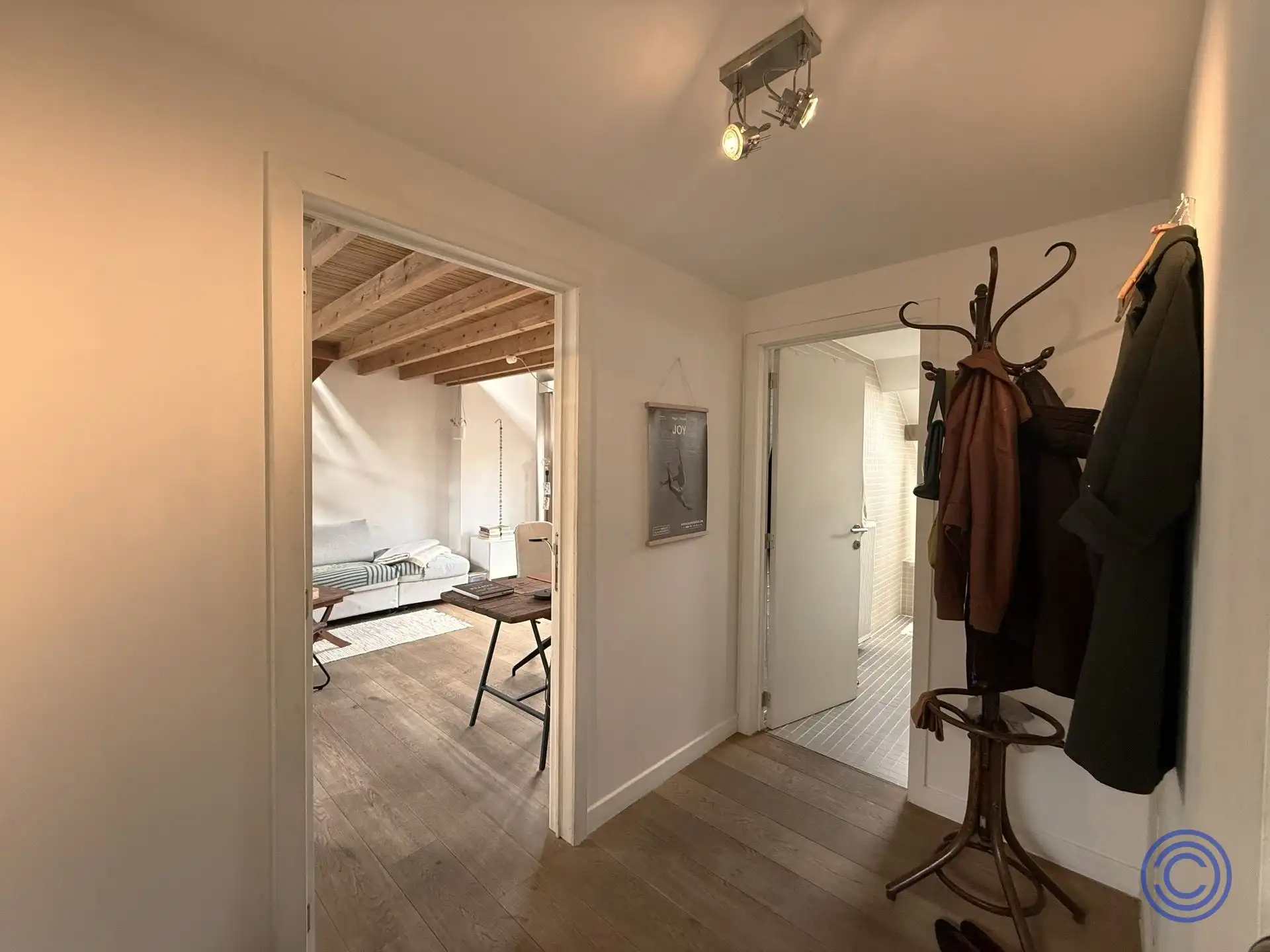 Zonovergoten dakappartement met terras in het midden van Antwerpen! foto 6