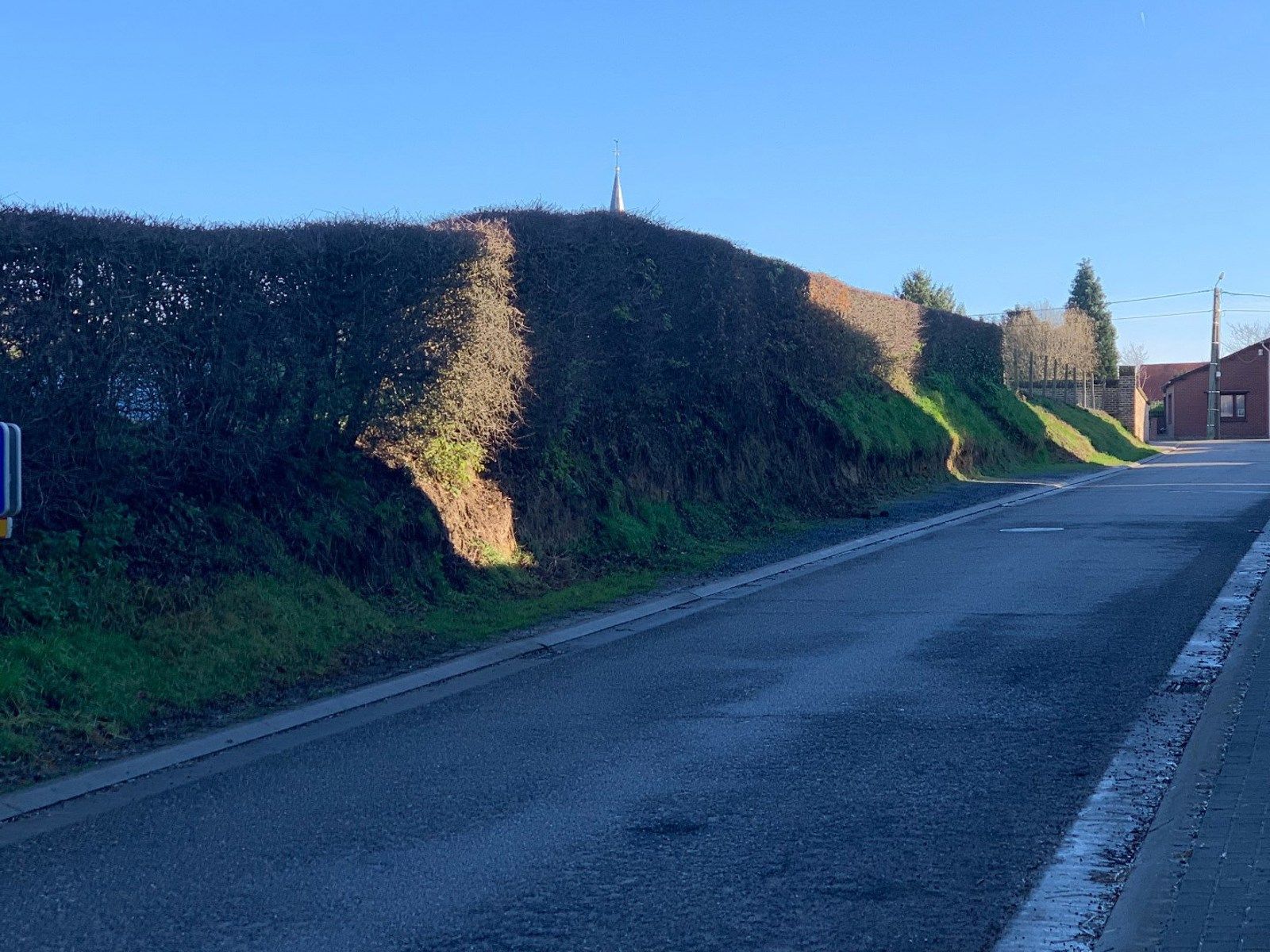 Ruim perceel met open bebouwing in Widooie (Tongeren) ideaal voor natuurliefhebbers - 630m² grond, tuin op het noordwesten foto 4