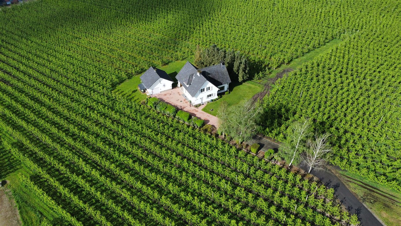 Hoofdfoto van de publicatie: Villa + voorgelegen bouwgrond in residentiële straat 