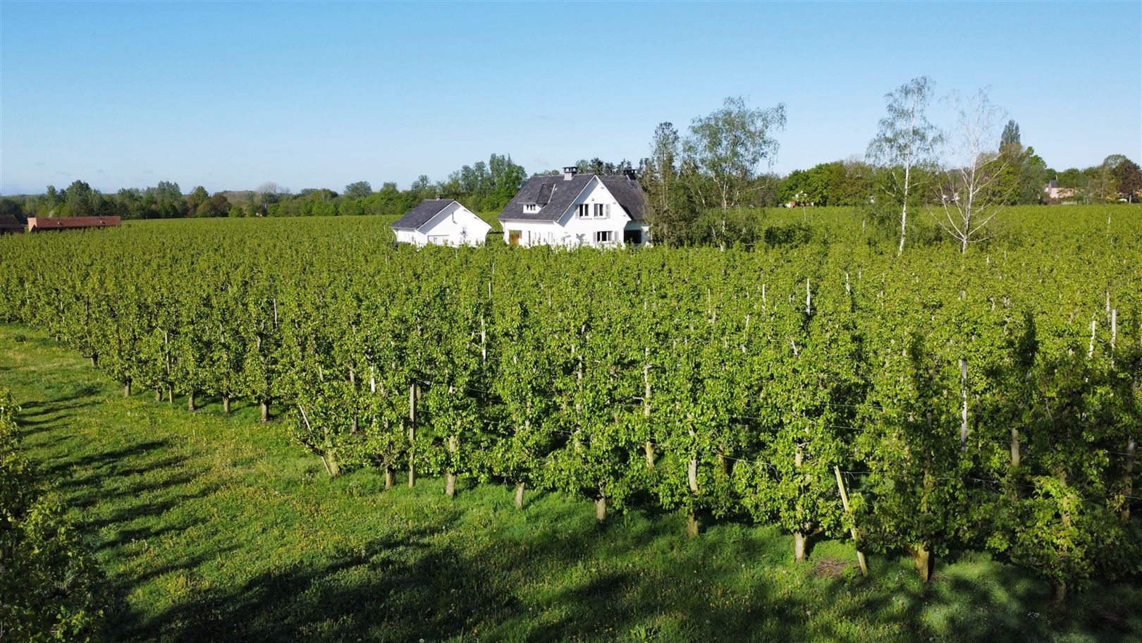 Villa met bouwgrond in residentiële straat  foto 1