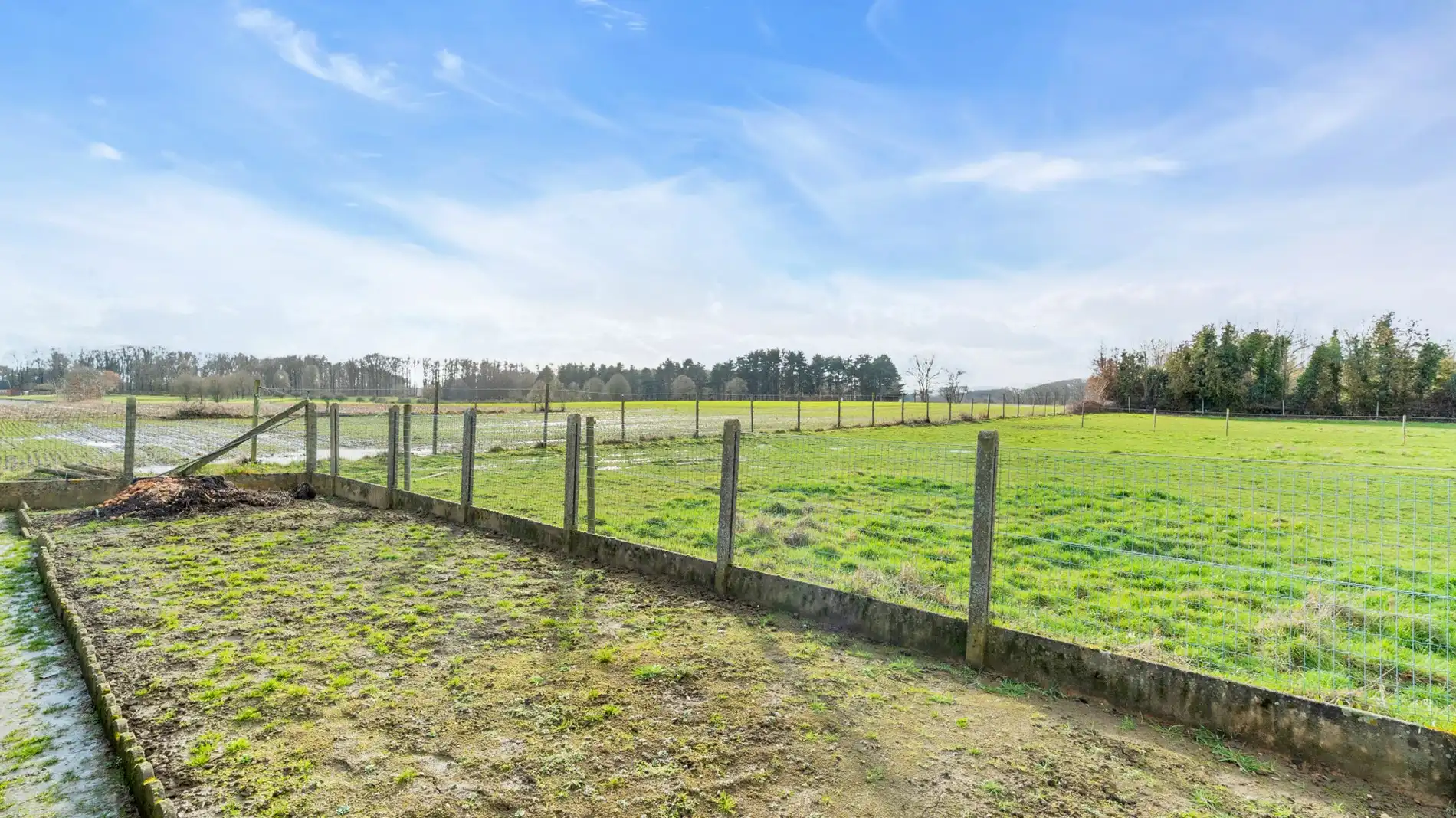 TIELT-WINGE villawoning 3 slks op +10 are foto 6