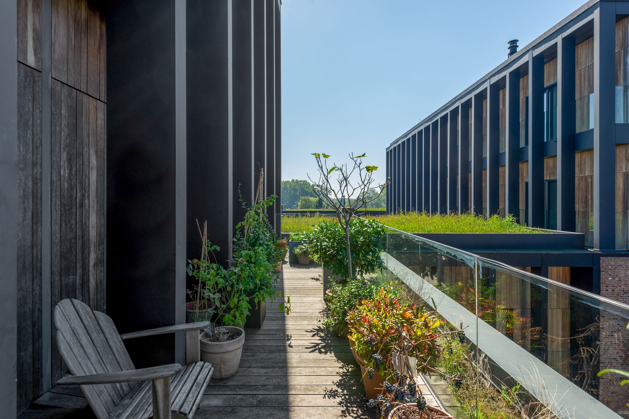 WIJNEGEM - Exclusief appartement met grote terrassen foto {{pictureIndex}}