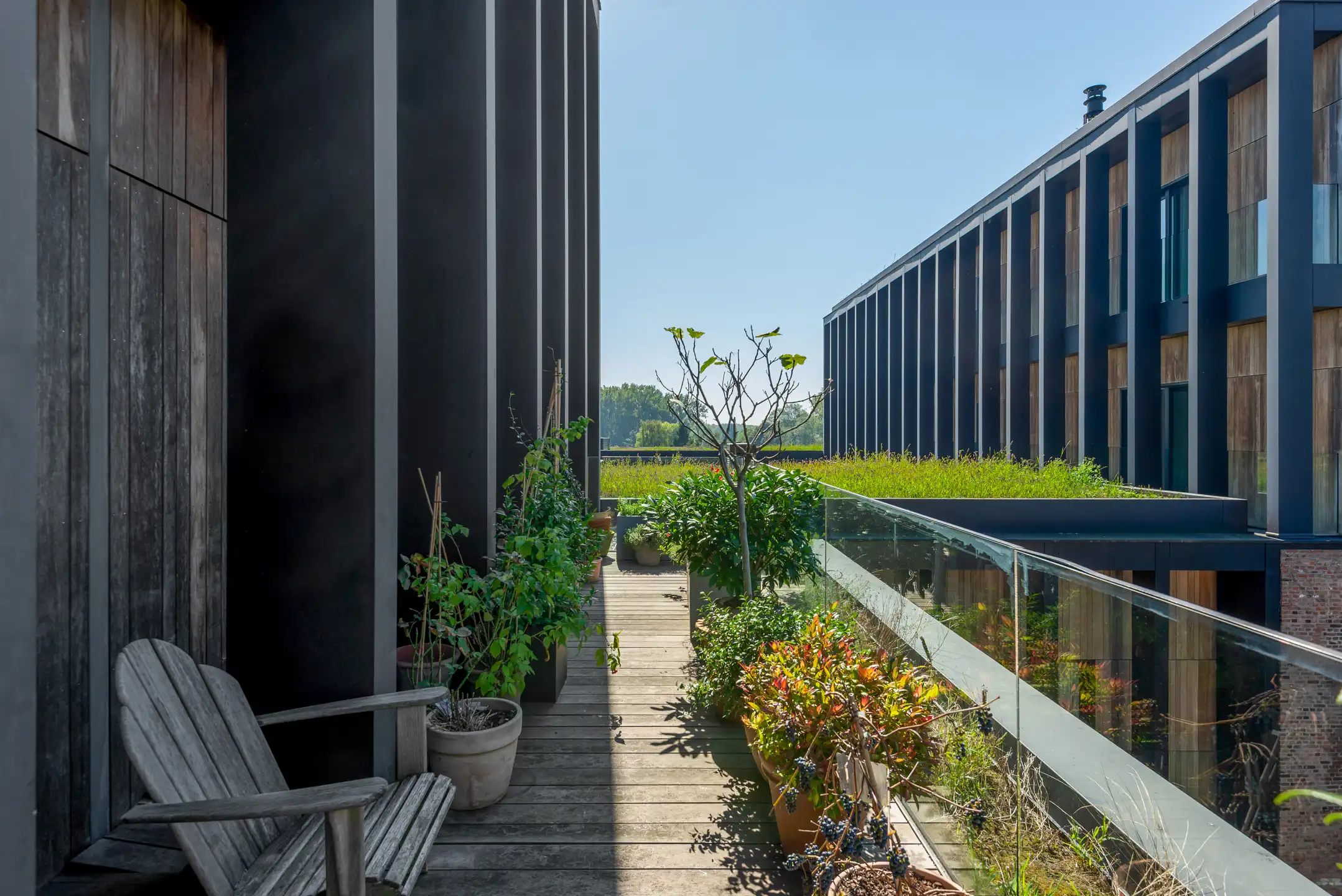 WIJNEGEM - Exclusief appartement met grote terrassen foto {{pictureIndex}}