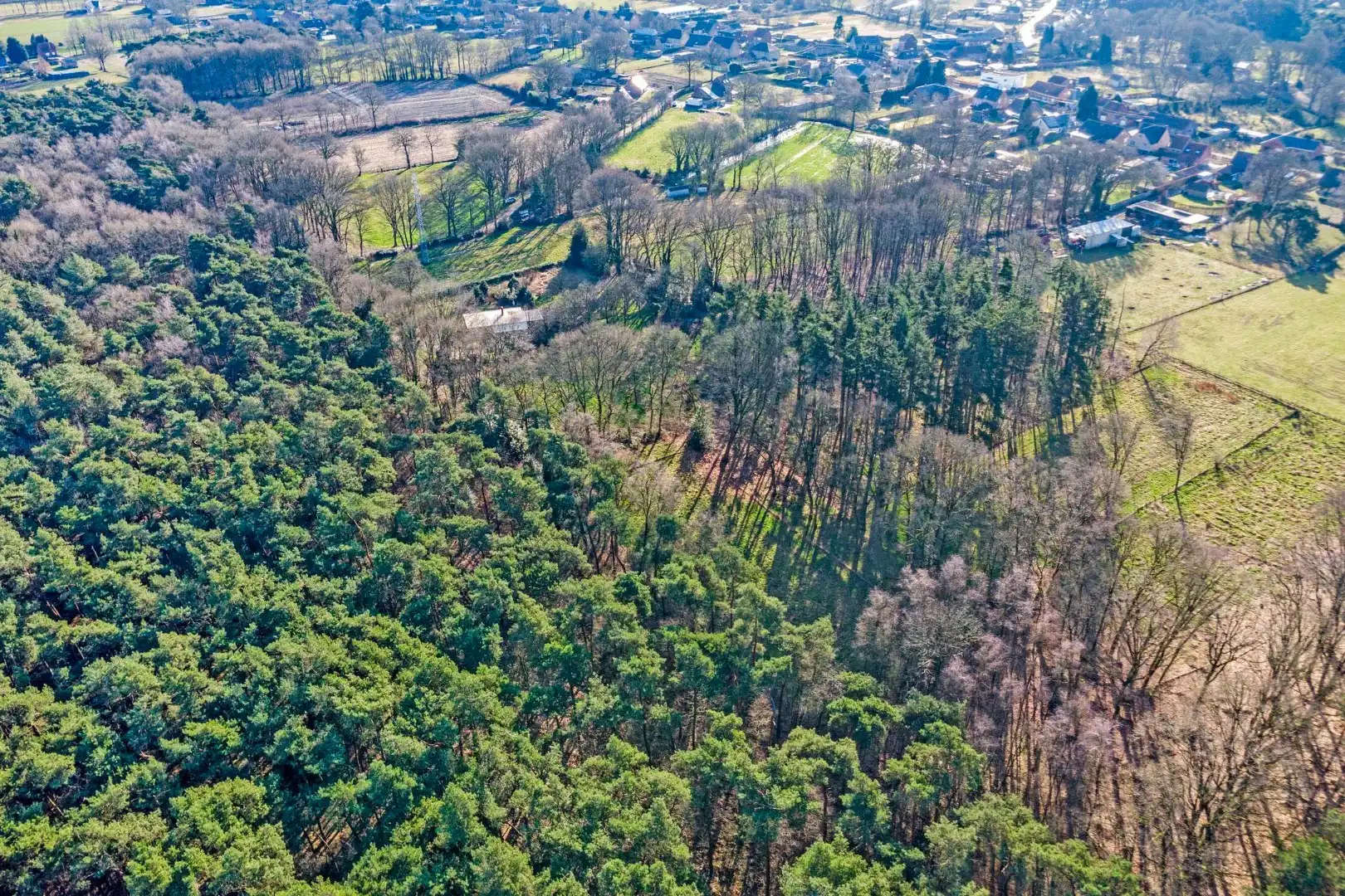 Unieke woonst op 13 hectare: rust, natuur en eindeloze mogelijkheden! foto 20