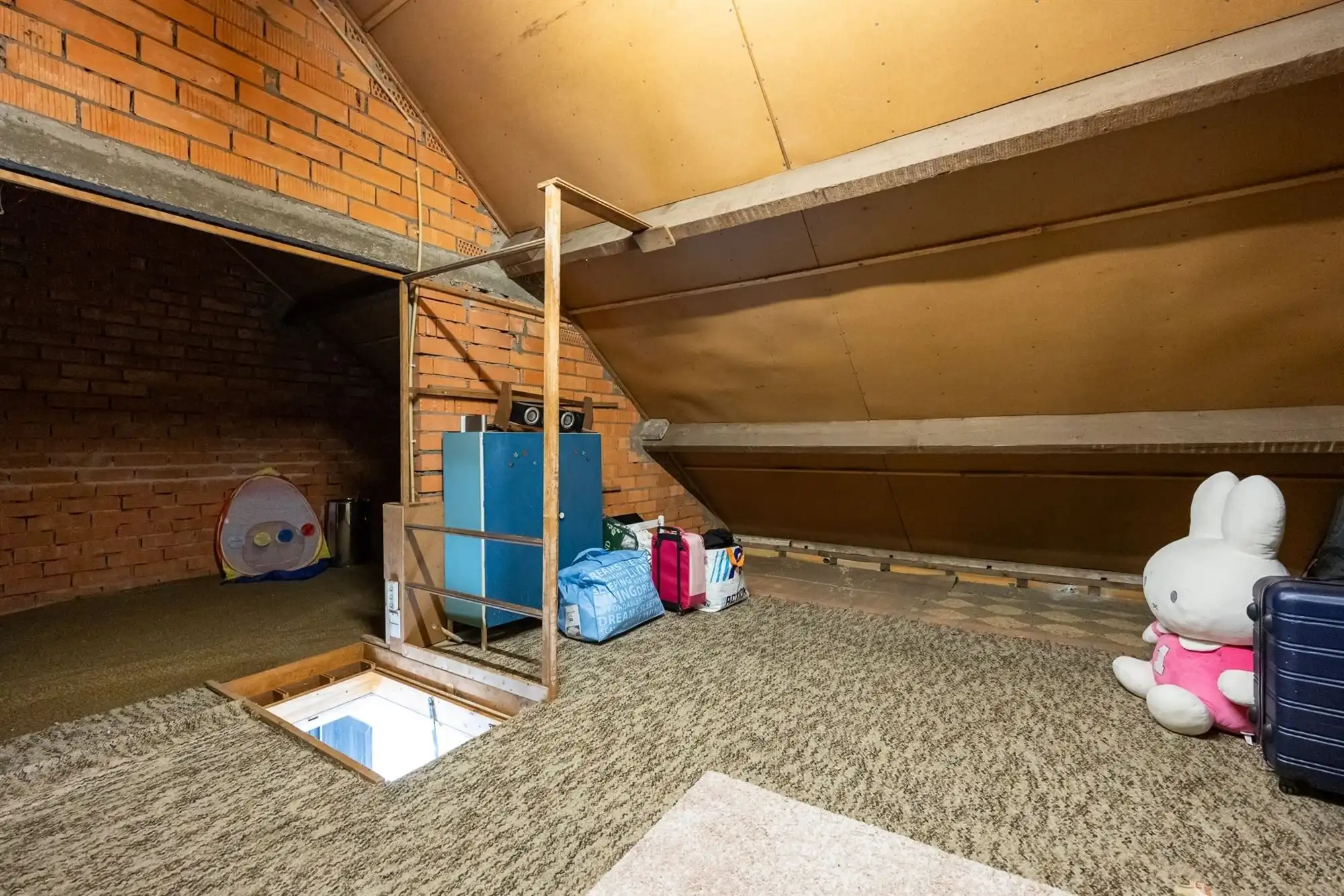 Gezinswoning met garage en zonnige tuin foto 28