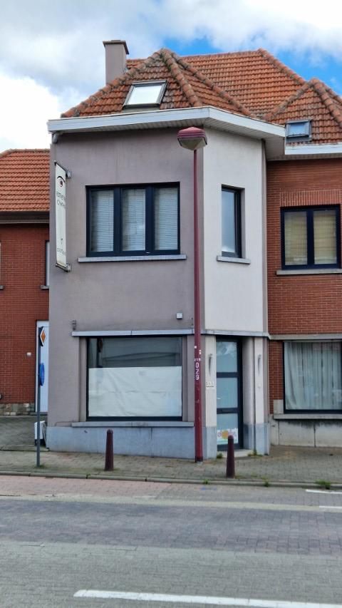 Ruime EENGEZINSWONING met grote leefruimten, 2 slaapkamers en mooi terras, woning met mogelijkheden, op 1 are 33 ca. foto 1