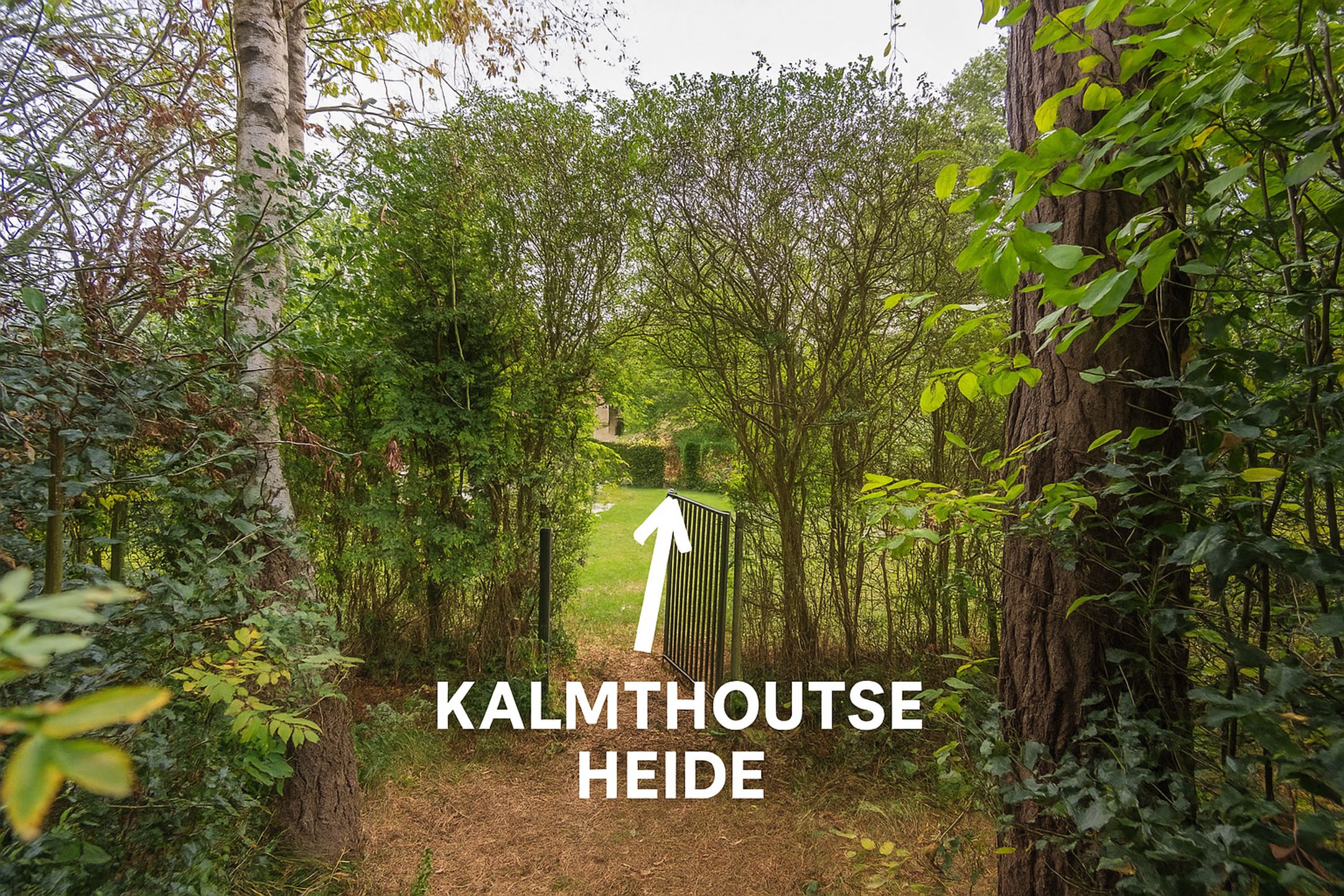 Charmante woning met toegang tot de Heide foto 6
