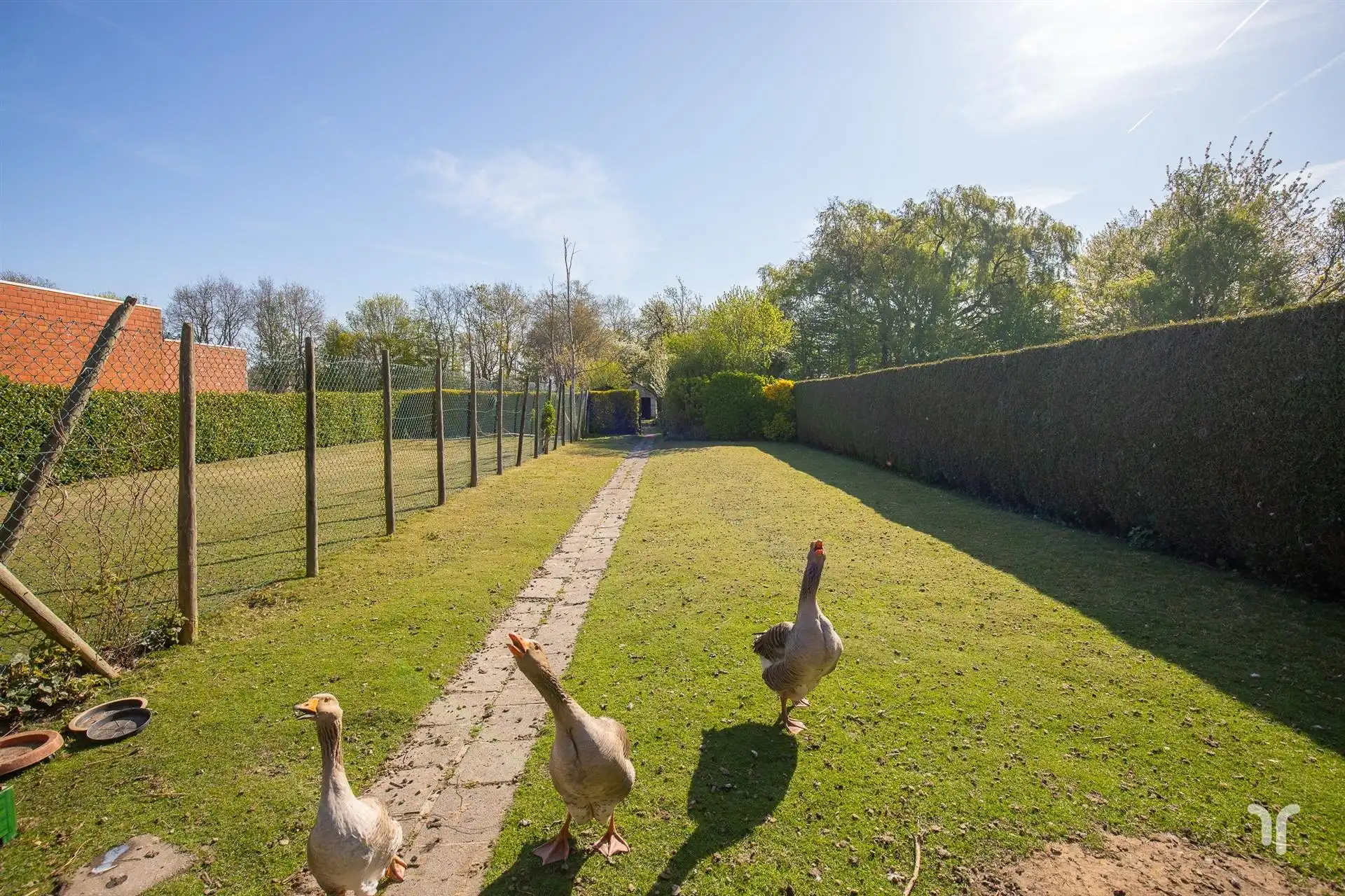 Te renoveren karaktervolle burgerwoning op ruim, zuidgericht perceel met oprit en garages. foto 19