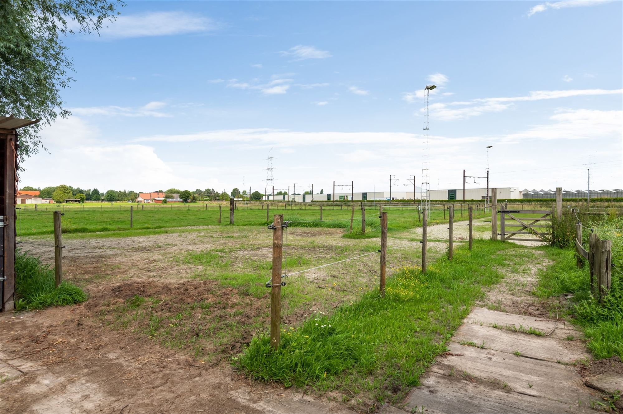 Prachtige paardenweide met stallen en piste foto 15