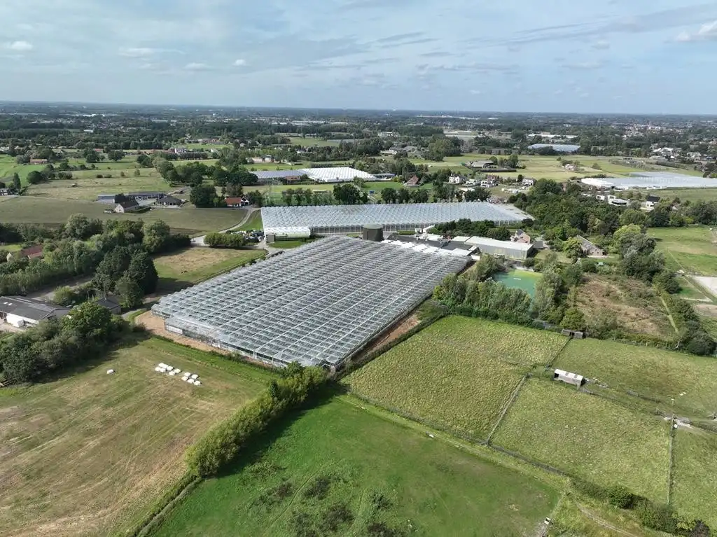Modern en volledig uitgerust serrebedrijf op 5,65 ha te Lier foto 3