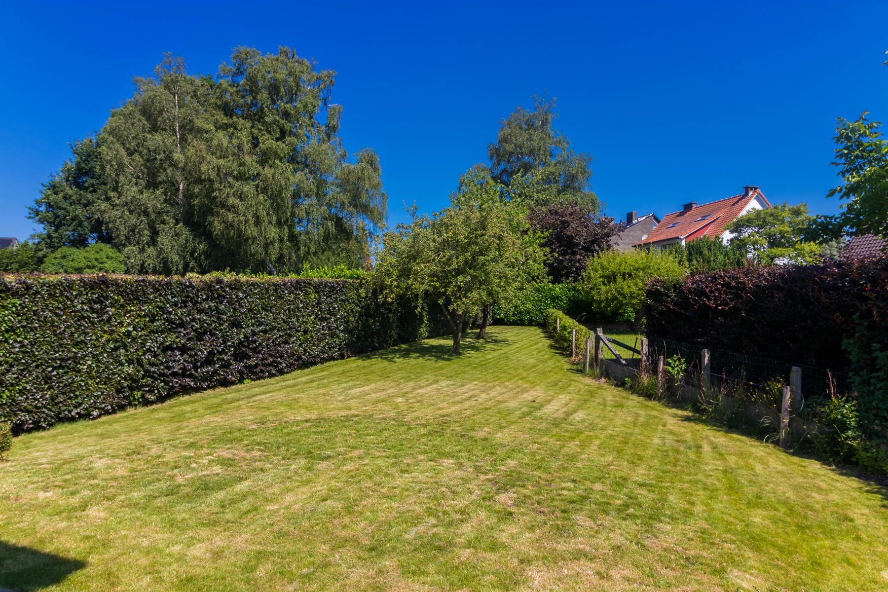 Villa te huur foto 16