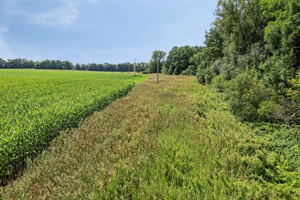 Op te frissen vakantiewoning te Bekkevoort!  foto 15