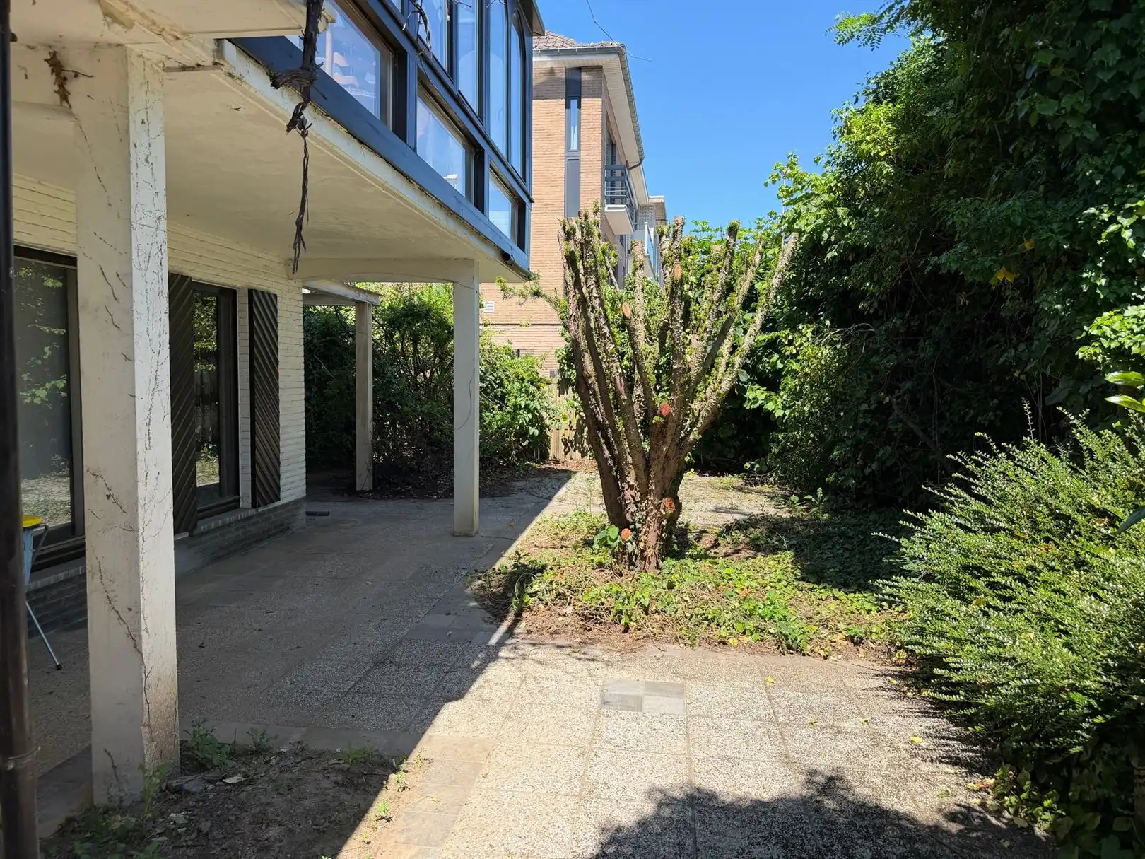 Huis foto 6