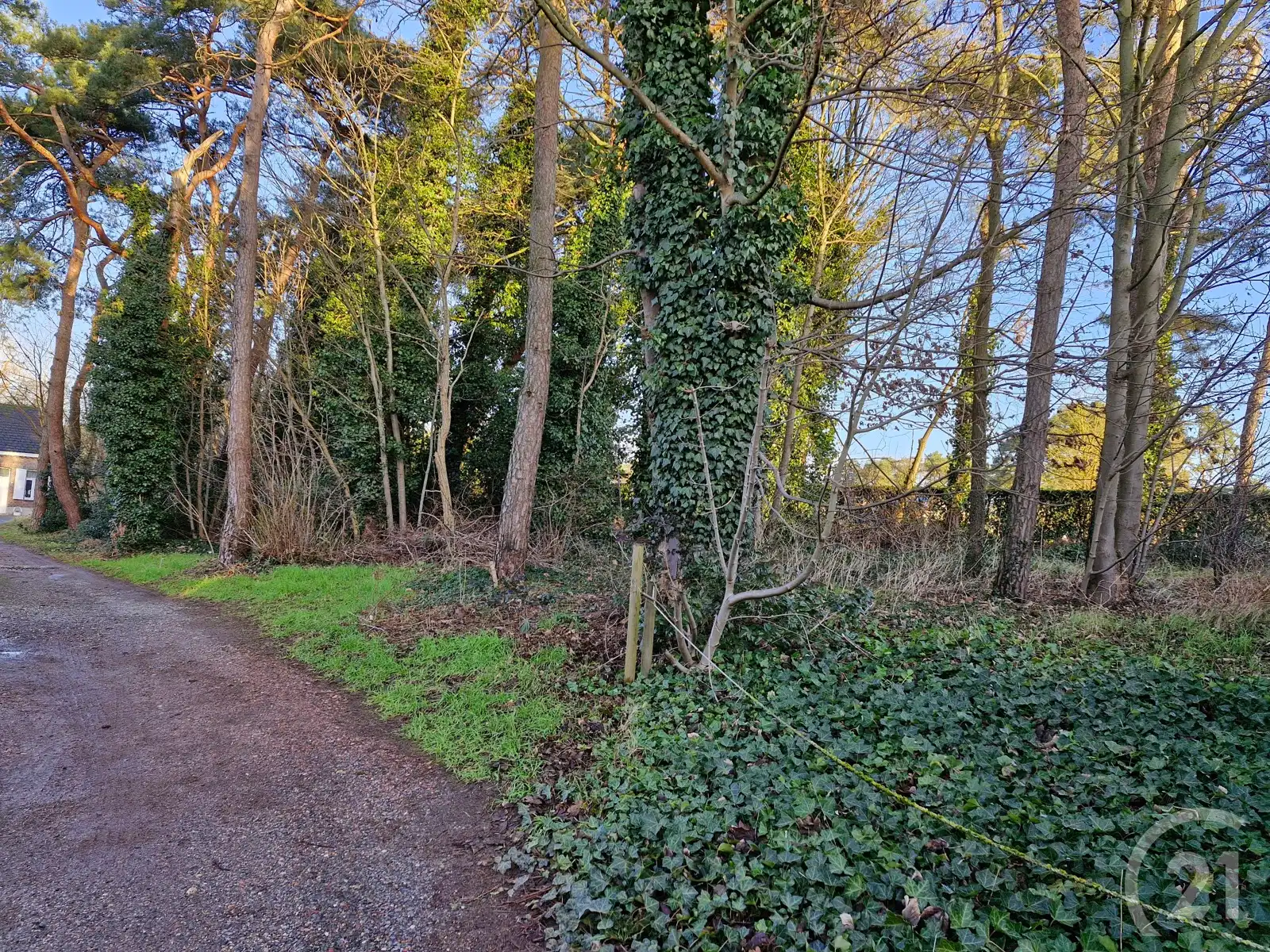 Bouwgrond te koop in Tremelo! foto {{pictureIndex}}