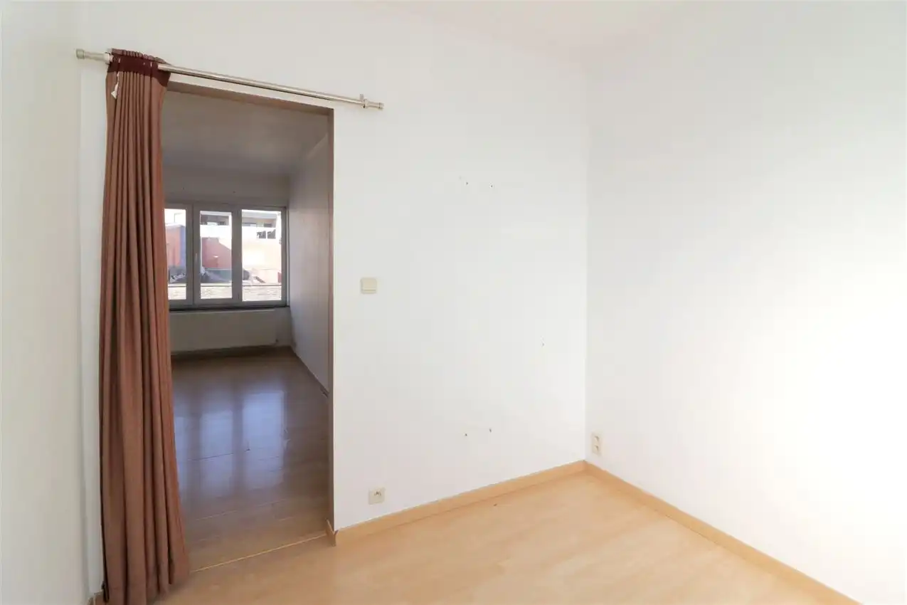 charmant, ruim, mogelijkheid beroep of kangoeroe foto 18