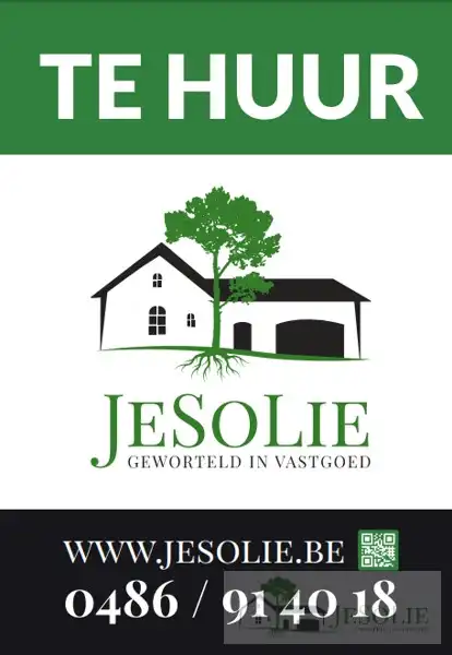 Ruime loft met 2 slaapkamers foto 18