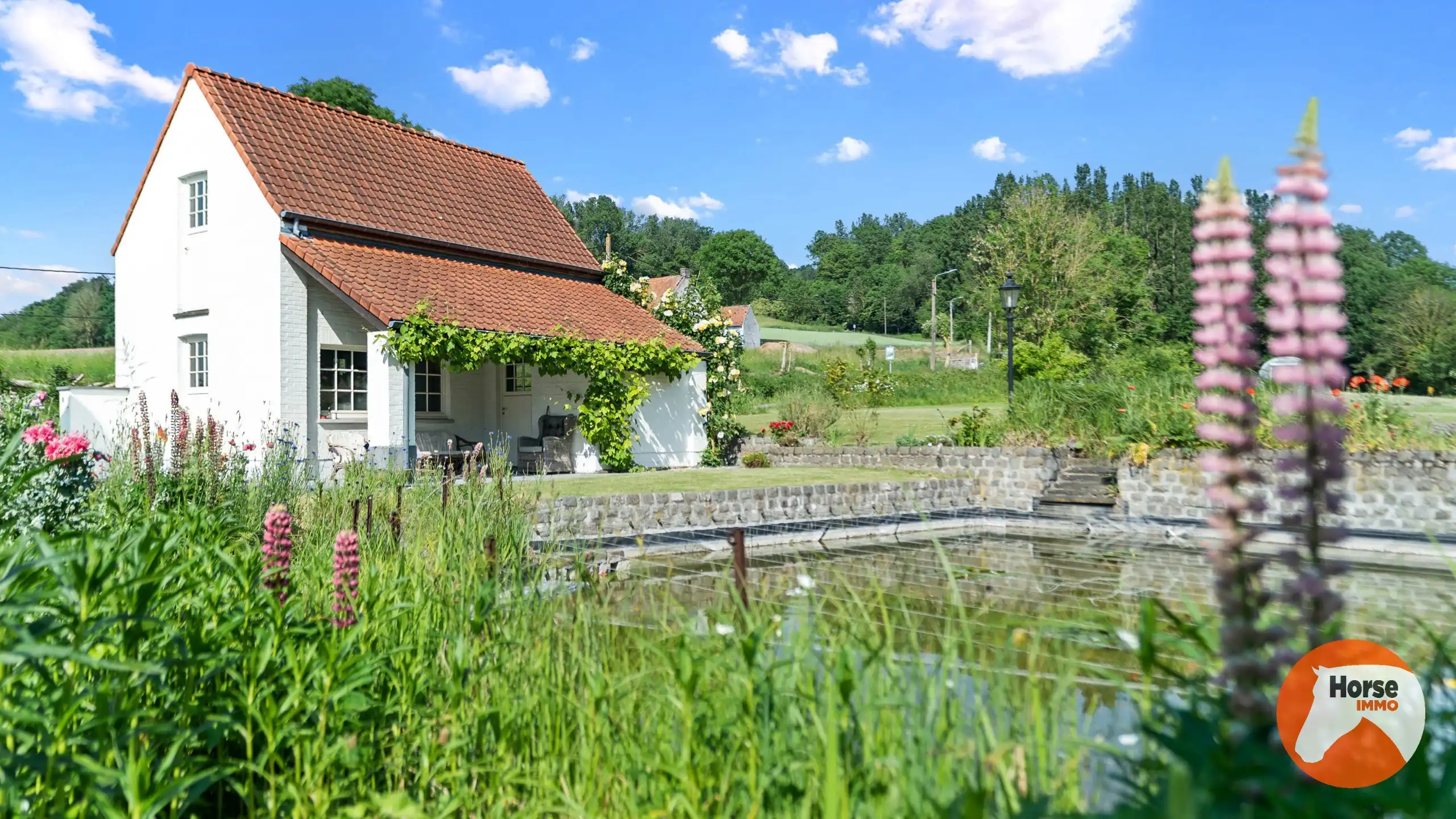 FRASNES - Exclusieve eigendom met 3 woonentiteiten en B&B foto 40