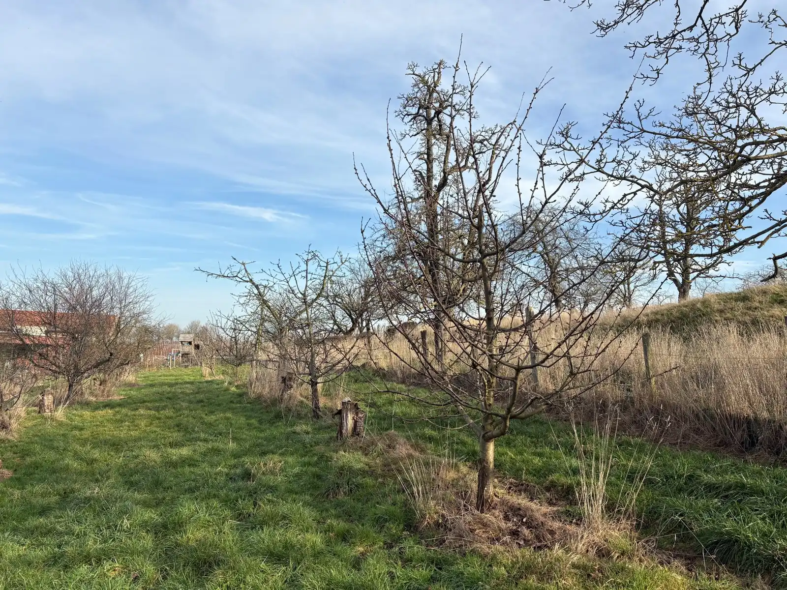 Boerderij te koop foto 6