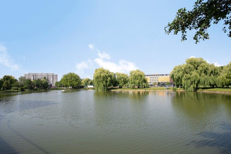 🌟 Luxueus appartement met panoramisch uitzicht TE KOOP – Zuiderlaan, Waregem 🌟 foto 26