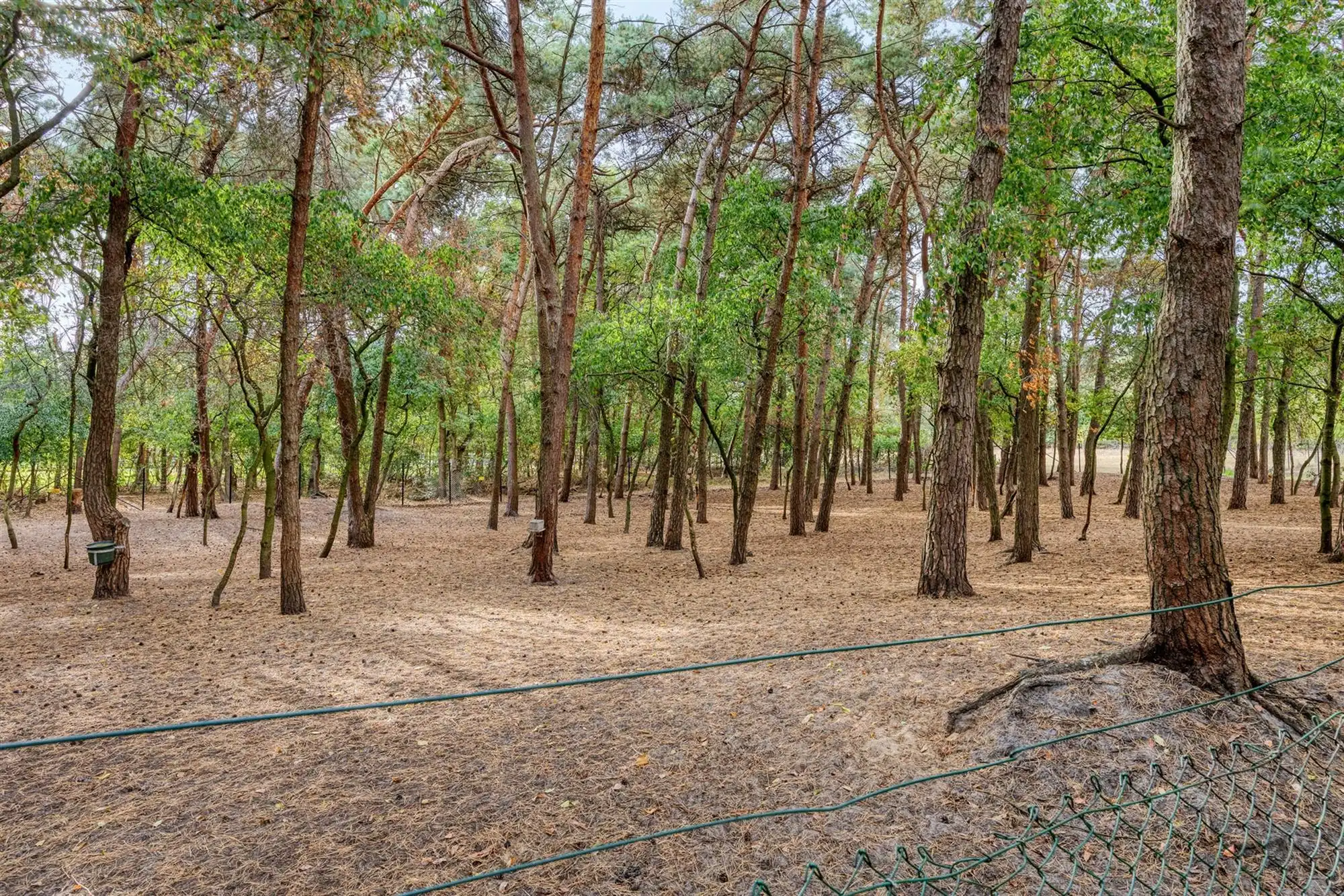 Landelijke luxe: unieke villa op 7.188 m² privé-domein foto 71