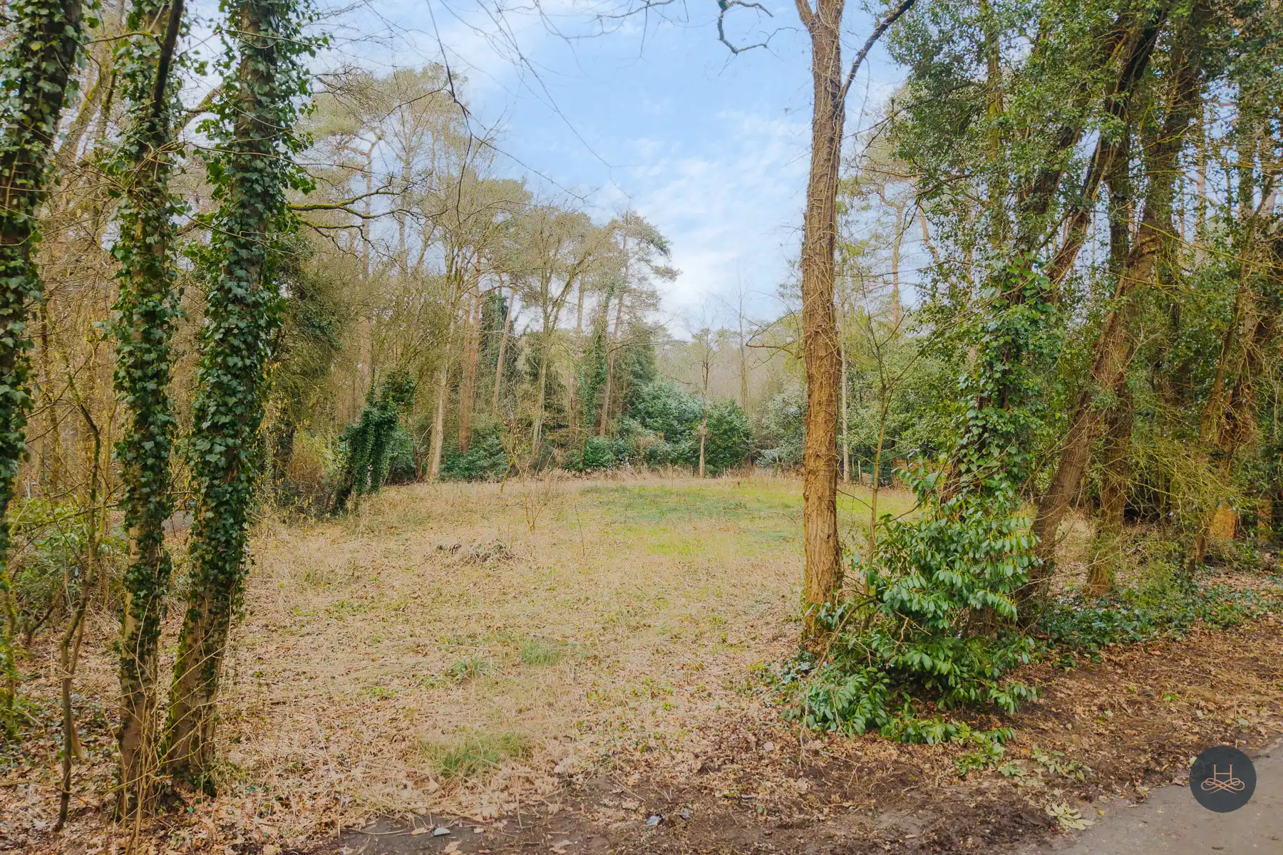 Prachtige bouwgrond van 10 are in bosrijke omgeving in Schilde foto 9