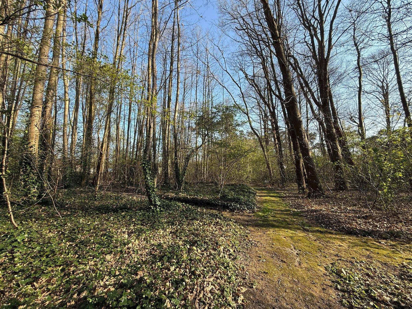 Residentiële bouwgrond op toplocatie foto {{pictureIndex}}