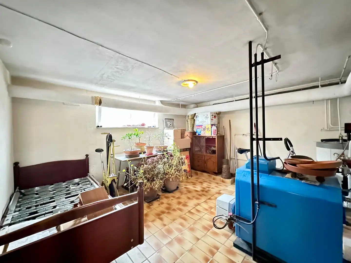 Ruime gezinswoning met prachtige tuin nabij centrum Tongeren foto 18