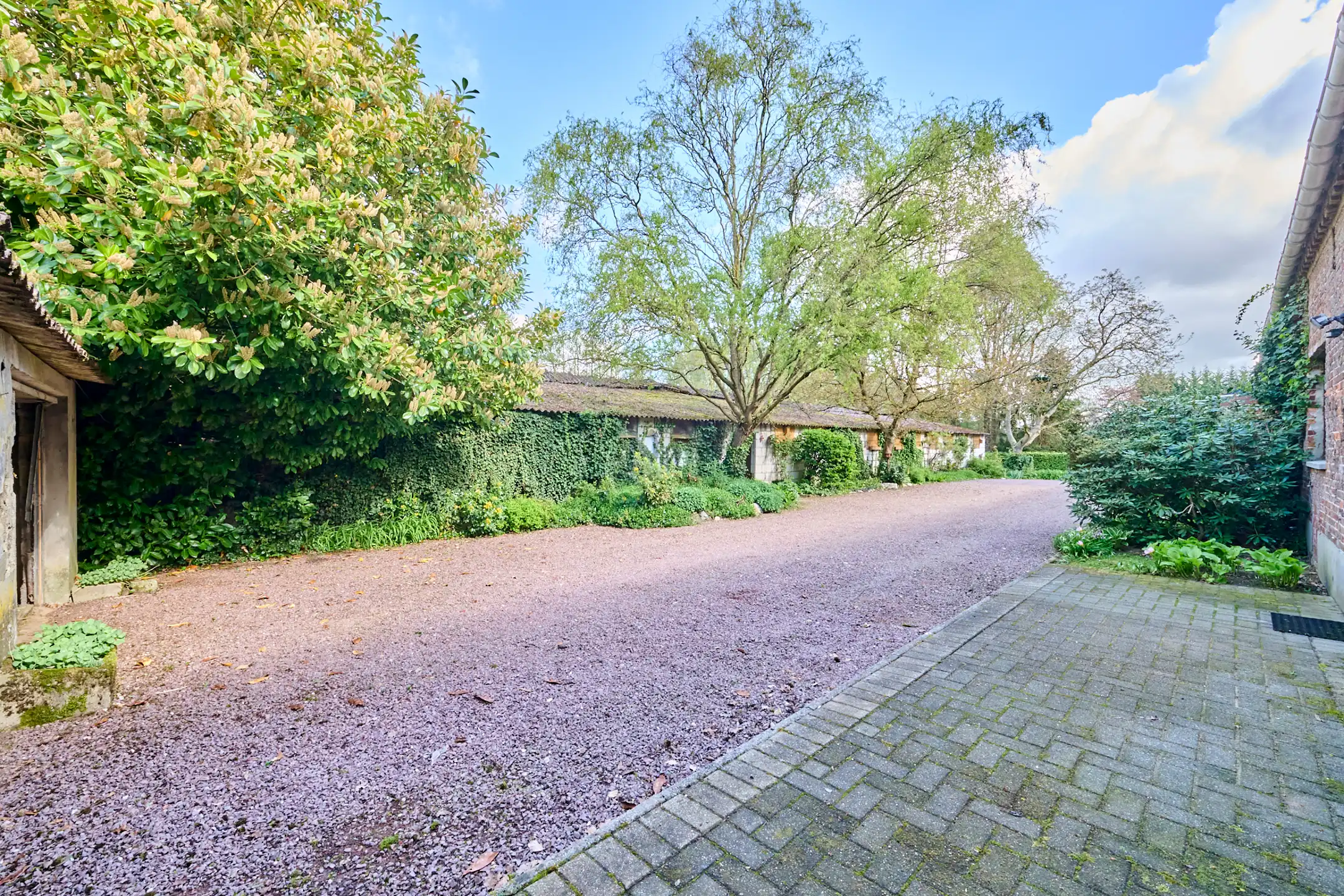 TE RENOVEREN WONING MET VEEL MOGELIJKHEDEN OP 3HA 54A38 CA foto 22