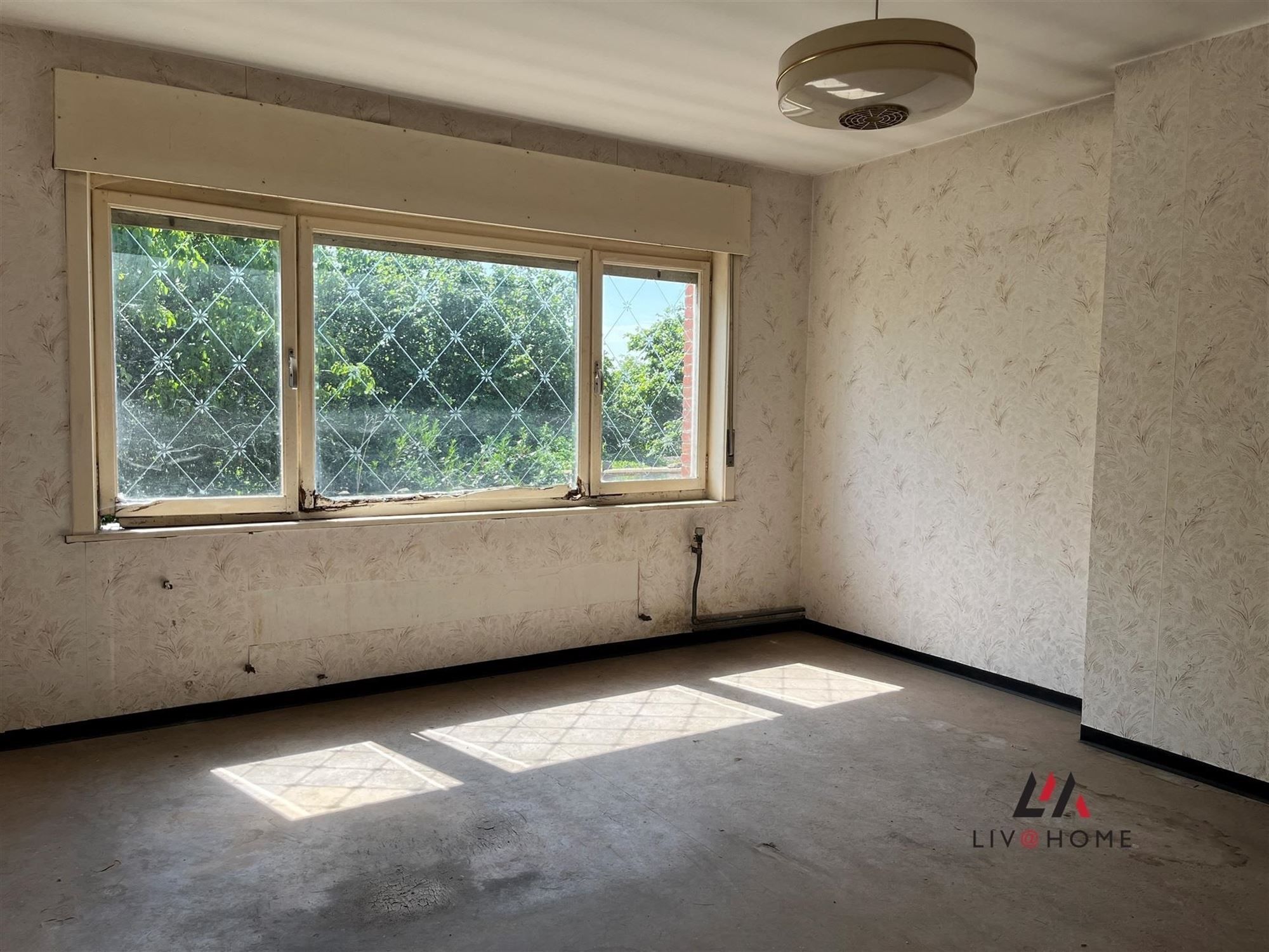 woning met 2,8 ha grond foto 24