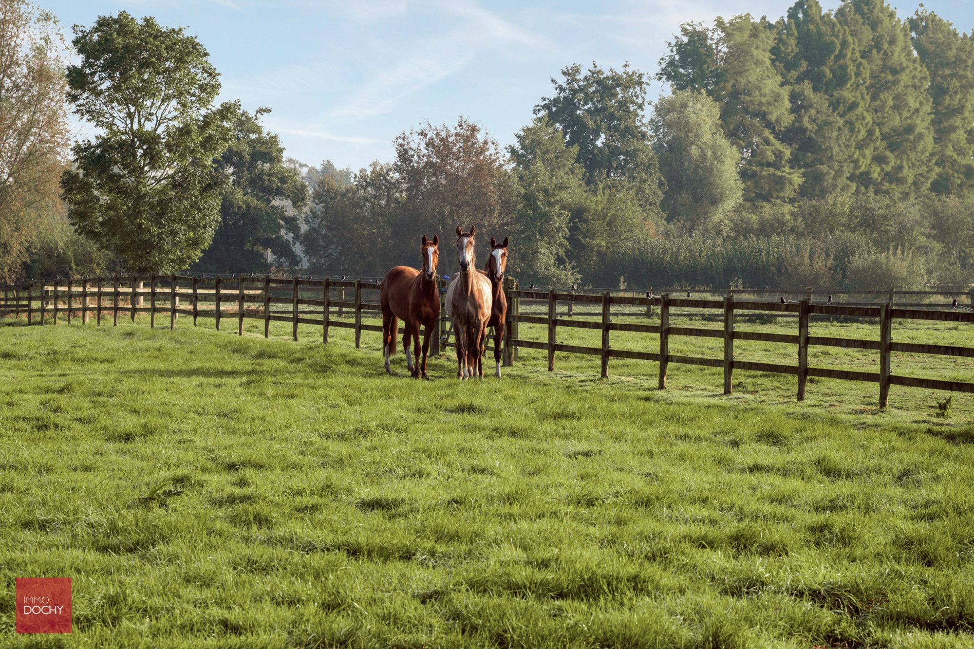 Unieke eigendom op ca. 6ha met paardenaccommodatie foto 10