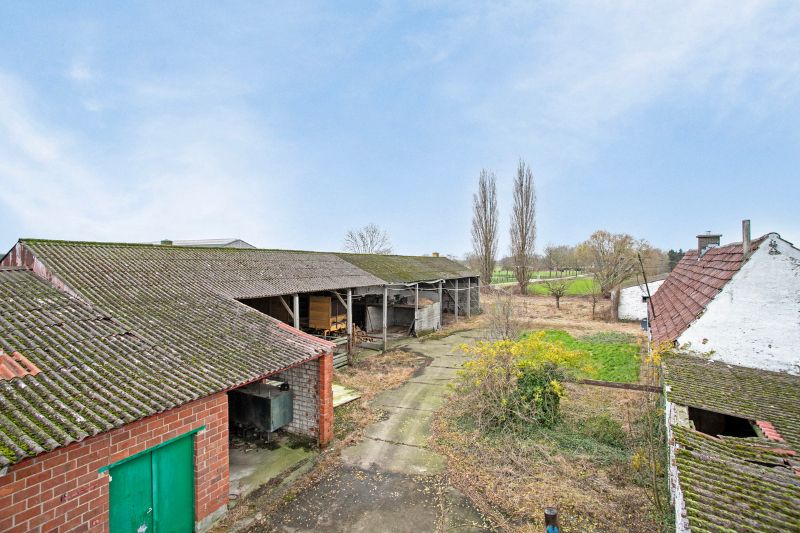Uniek domein op 1 hectare in Landegem foto 6