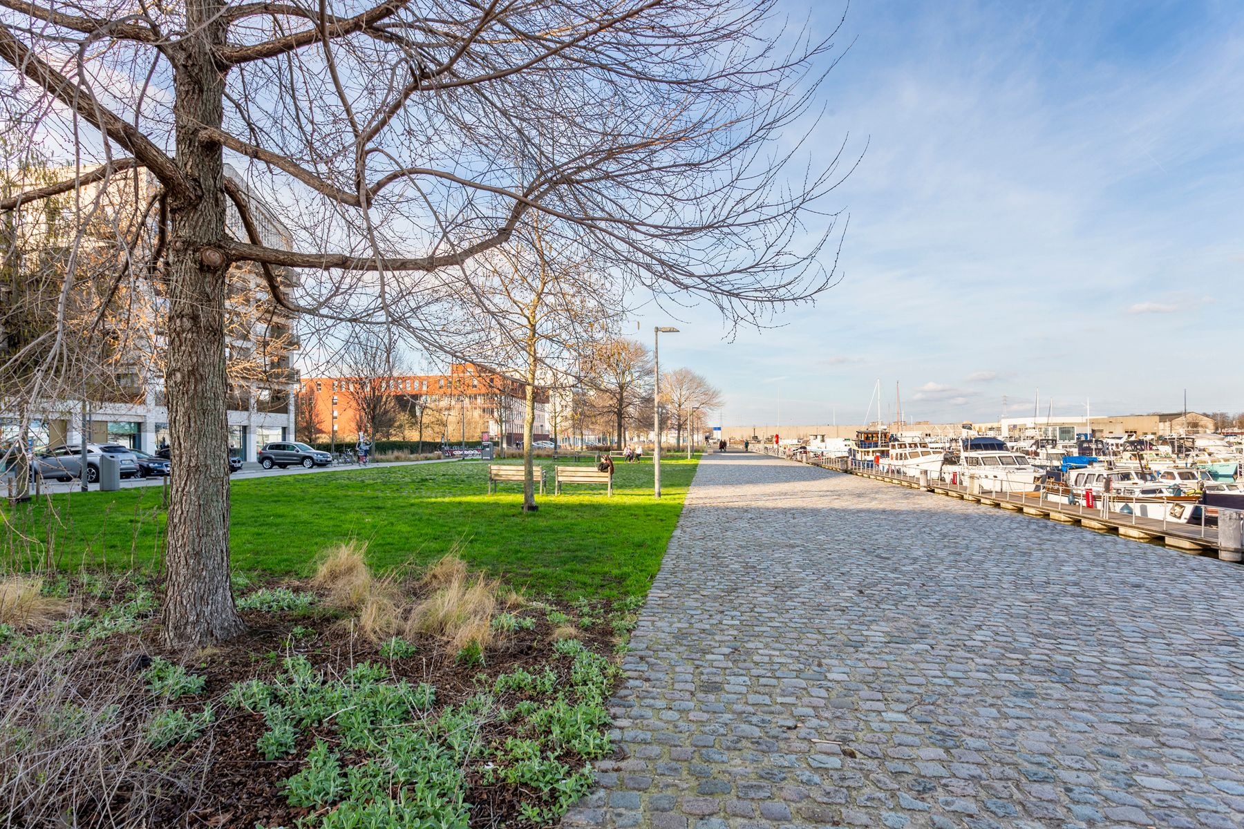 Penthouse aan Kempischdok met privé zonneterras en parking foto 4