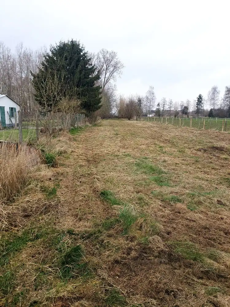 Ruime te renoveren woning foto 15