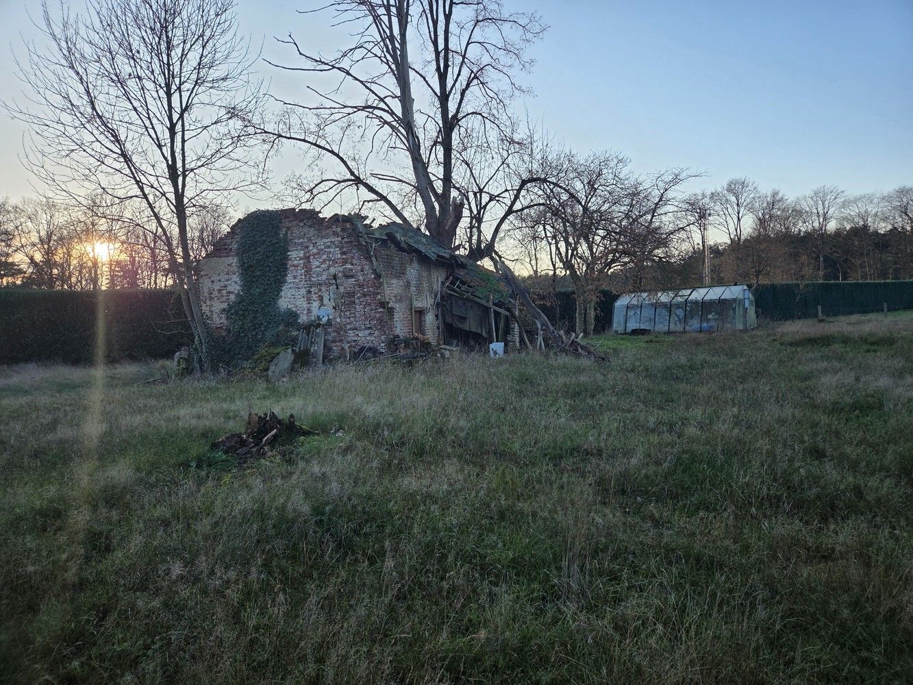 Mooie bouwgrond met prachtig uitzicht te Hechtel-Eksel foto 9