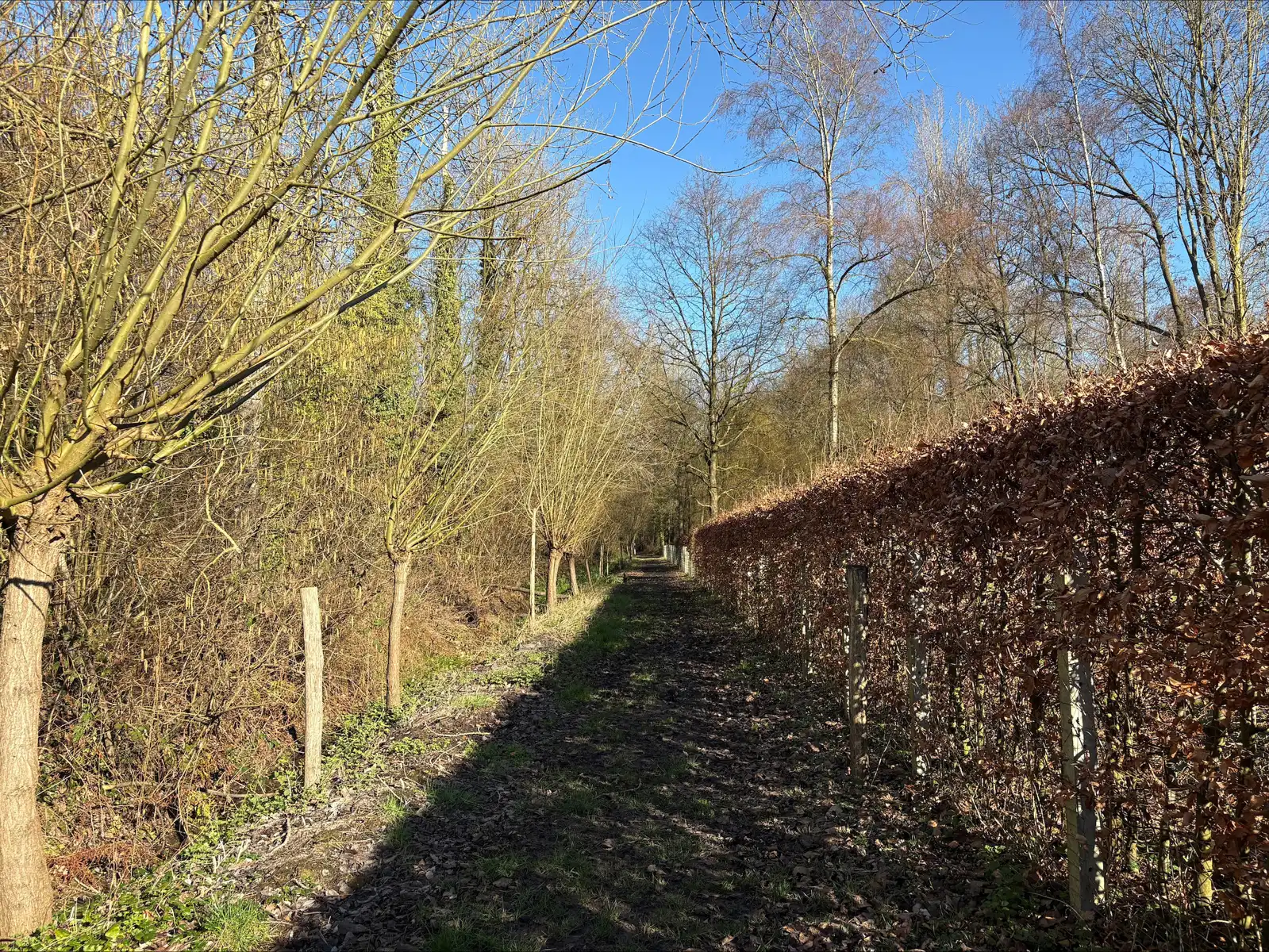 Landelijke gezinswoning in Holsbeek foto 6