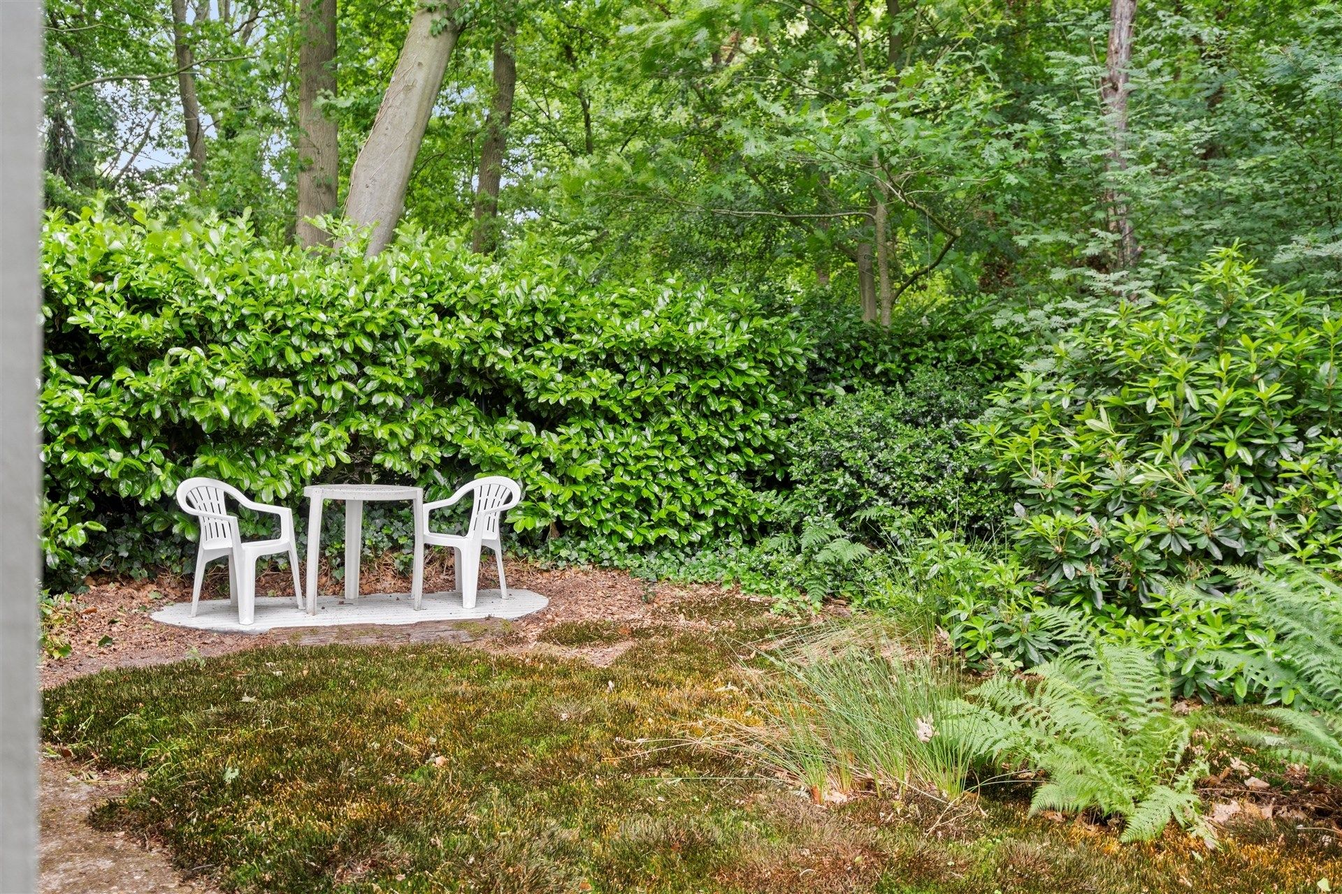 Rustig gelegen vakantiewoning op 802m² foto 19