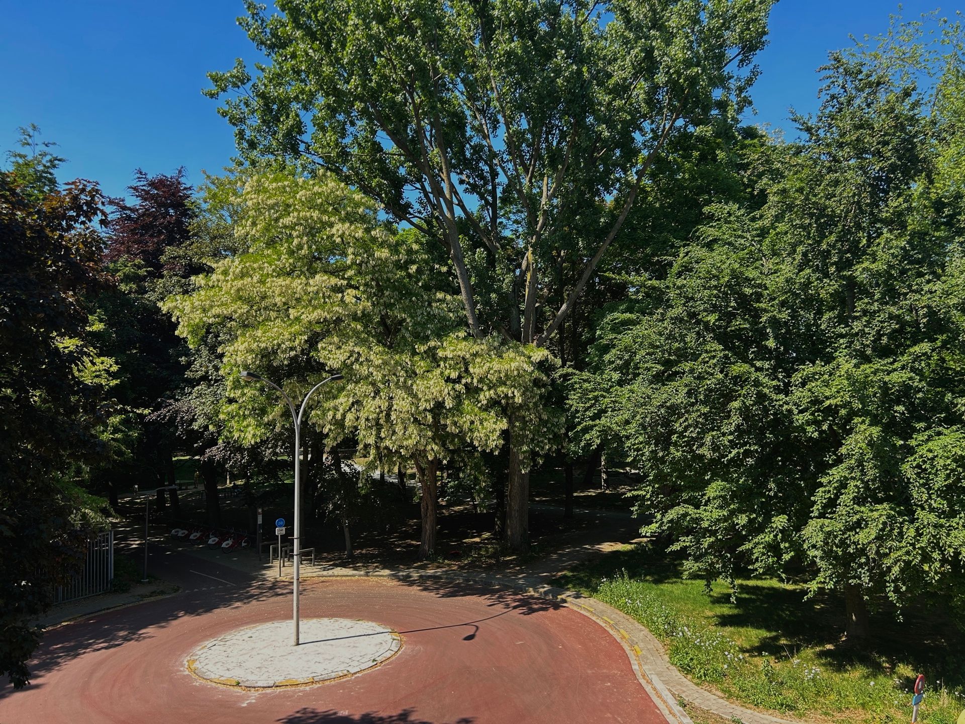 gerenoveerd 2-slpk-app. met uitzicht op het Brilschanspark foto 23
