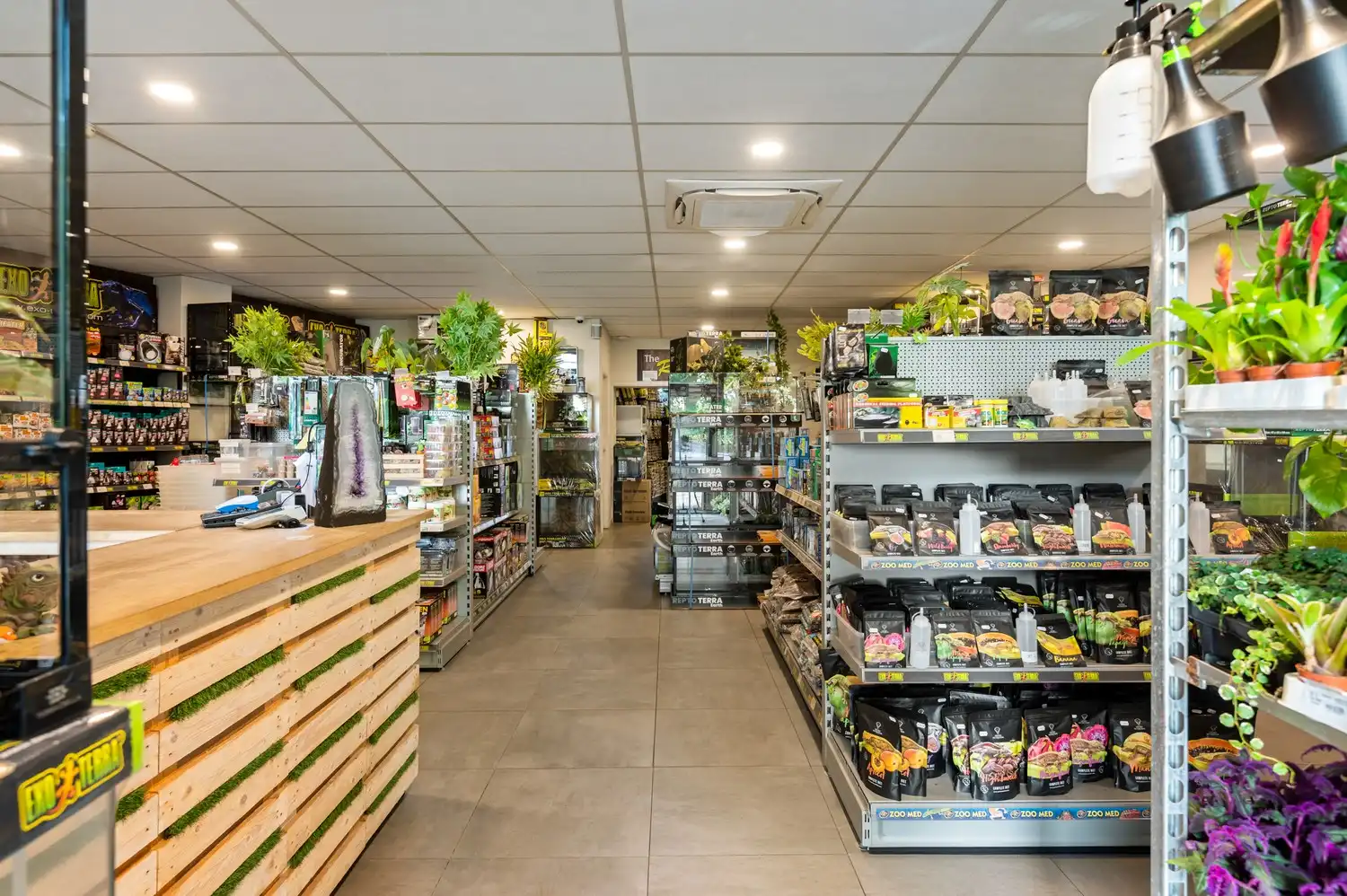 Ruim handelsgelijkvloers (208 m²) met brede etalage en buitenruimte (72 m²) in Kontich foto 2