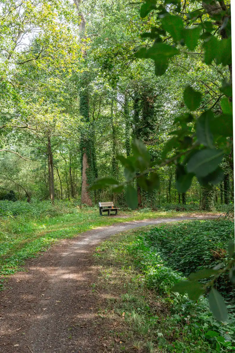 Prachtig stuk natuur foto 6
