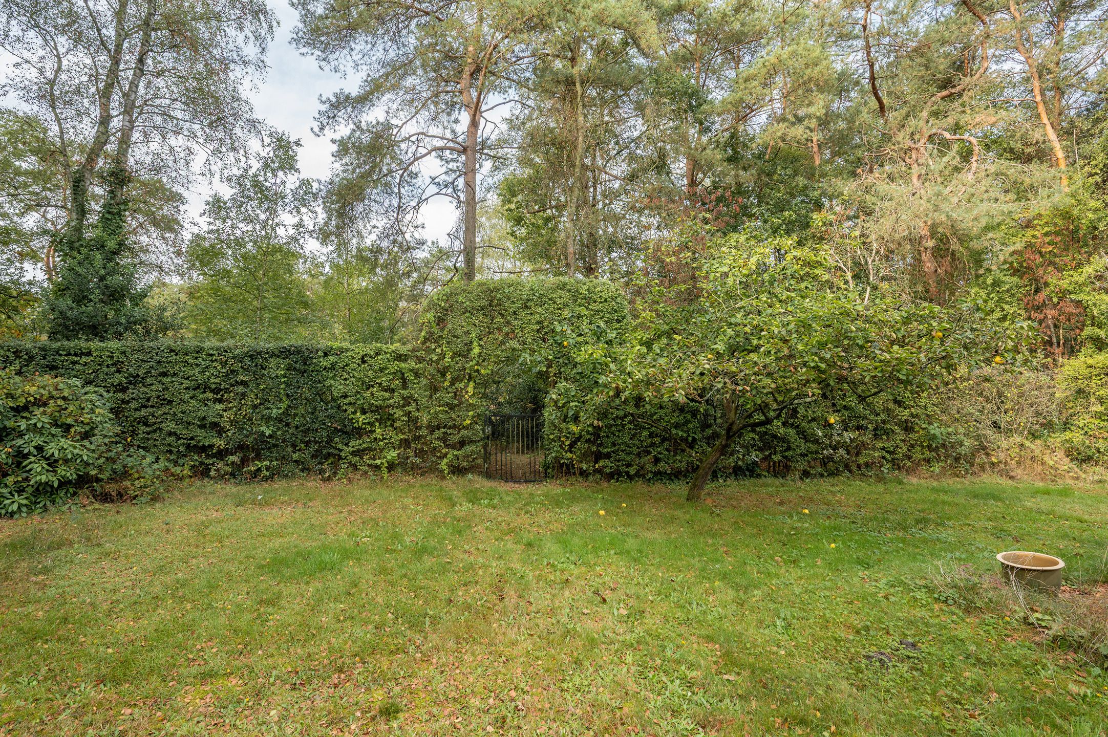 Charmante woning met toegang tot de Heide foto 33