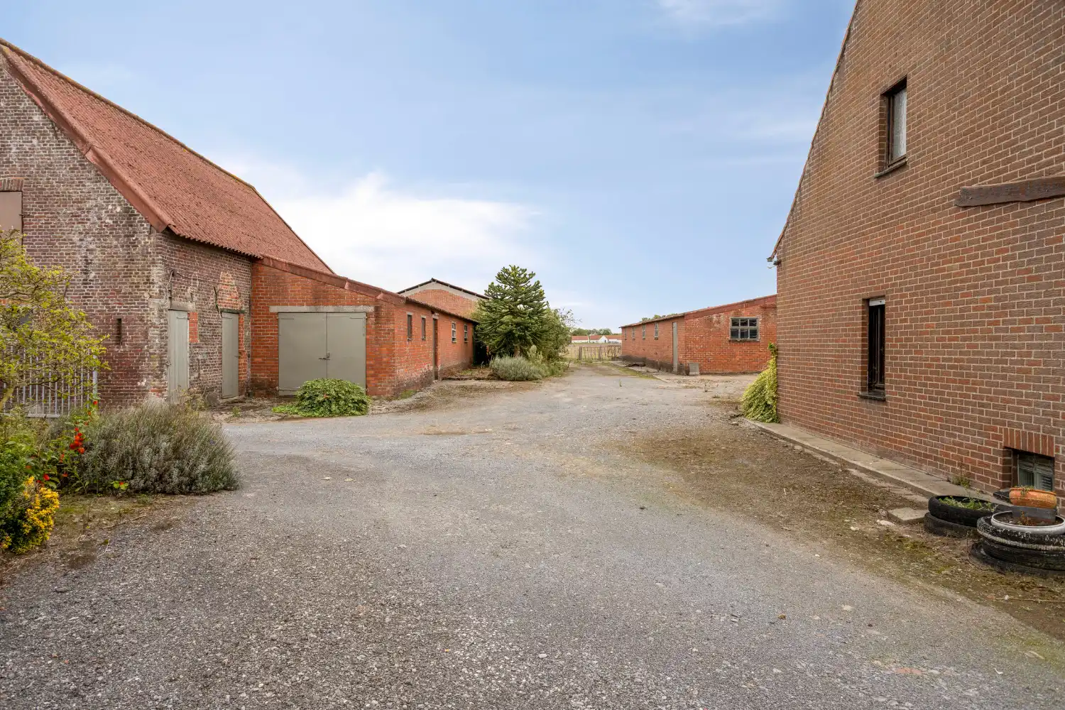 Authentieke hoeve met bijgebouwen in Baliebrugge op een oppervlakte van 7937 m² foto 19