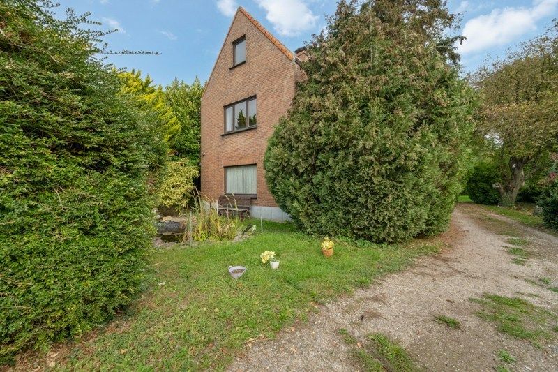 CENTRAAL GELEGEN KNUSSE VILLA foto 11