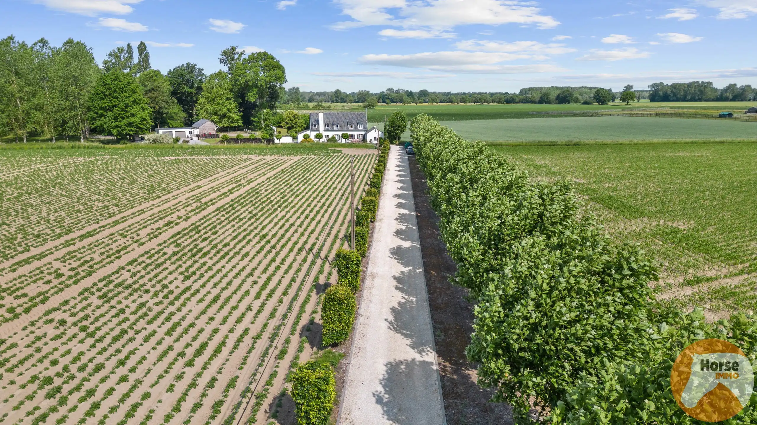 Hoofdfoto van de publicatie: RUMMEN - Charmant landhuis op idyllische locatie op 1ha54