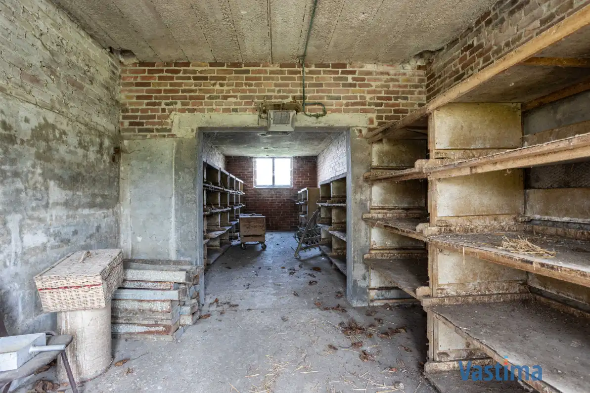 Woning met opslagruimte en grond op strategische ligging foto 25
