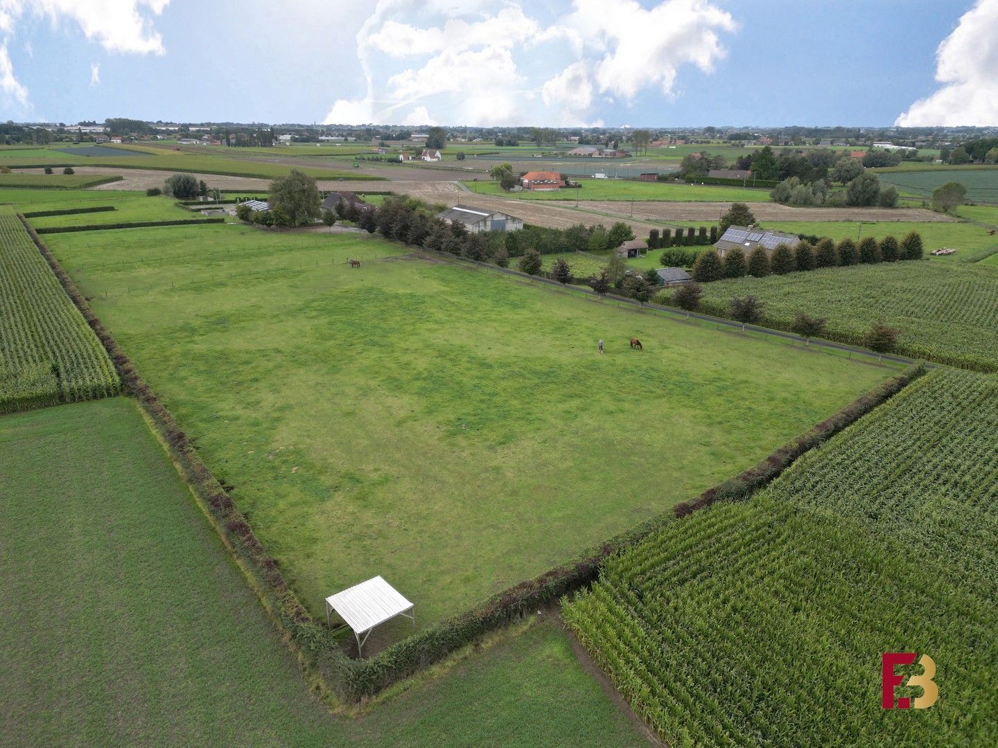 Paardenaccomodatie met kangoeroewoning of woning met kantoor op ca. 4,5ha te Lichtervelde foto 26