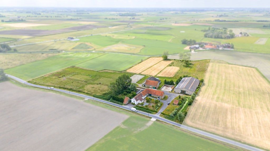 HOEVE op 6,9 HA met NIEUWE VERGUNNING voor PAARDENFOKKERIJ foto 13