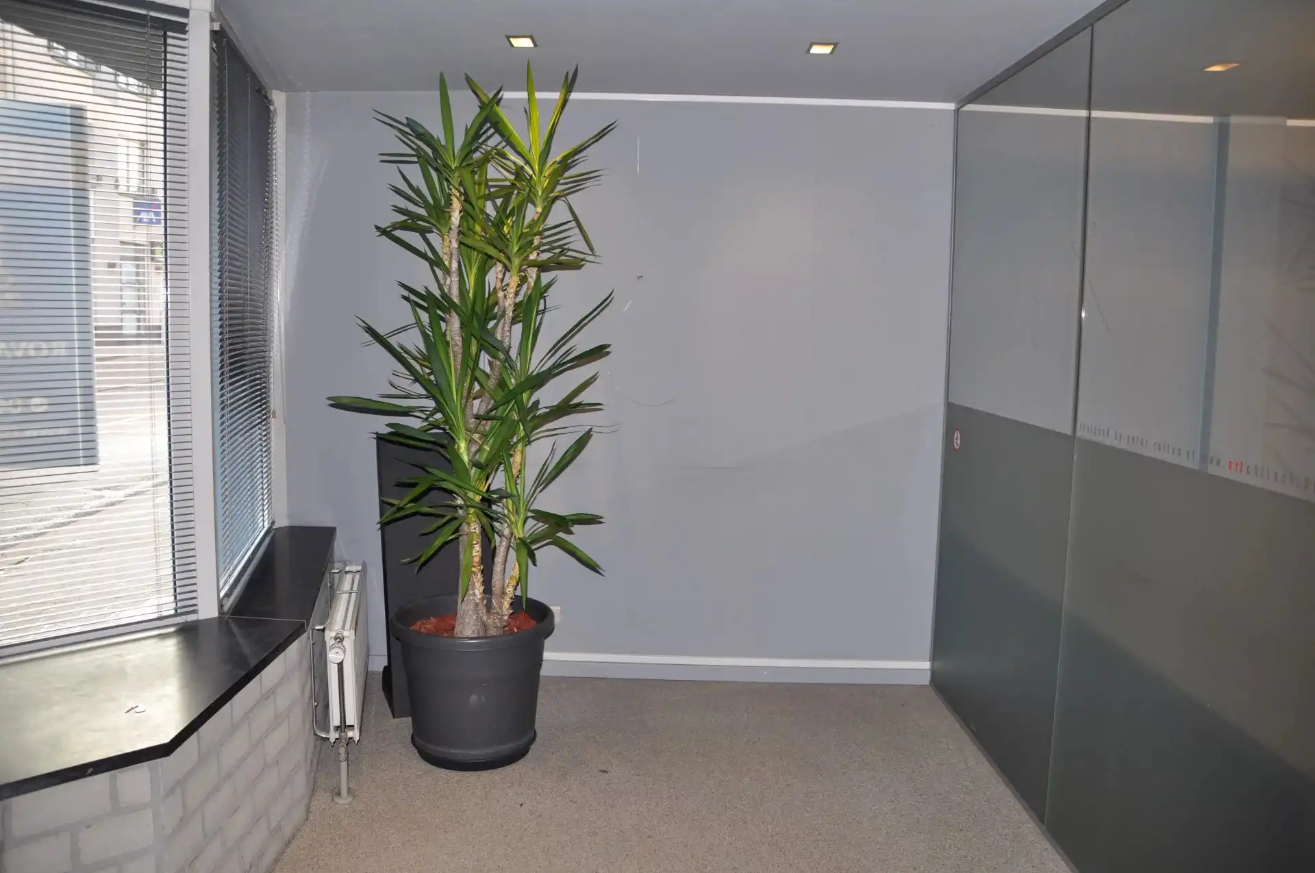 UNIEK HANDELSPAND VAN 110M² MET DUPLEXAPPARTEMENT MET 3 SLPK IN LANAKEN CENTRUM foto 6