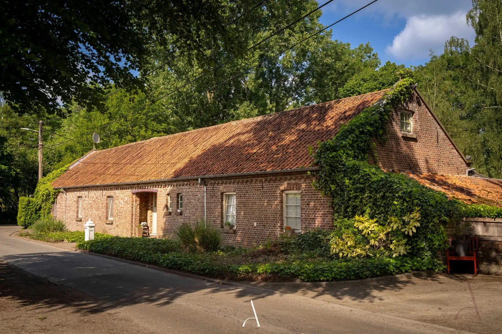 Authentieke langegevelhoeve op ruim 1 hectare in landelijke omgeving van Molenbeersel foto 3