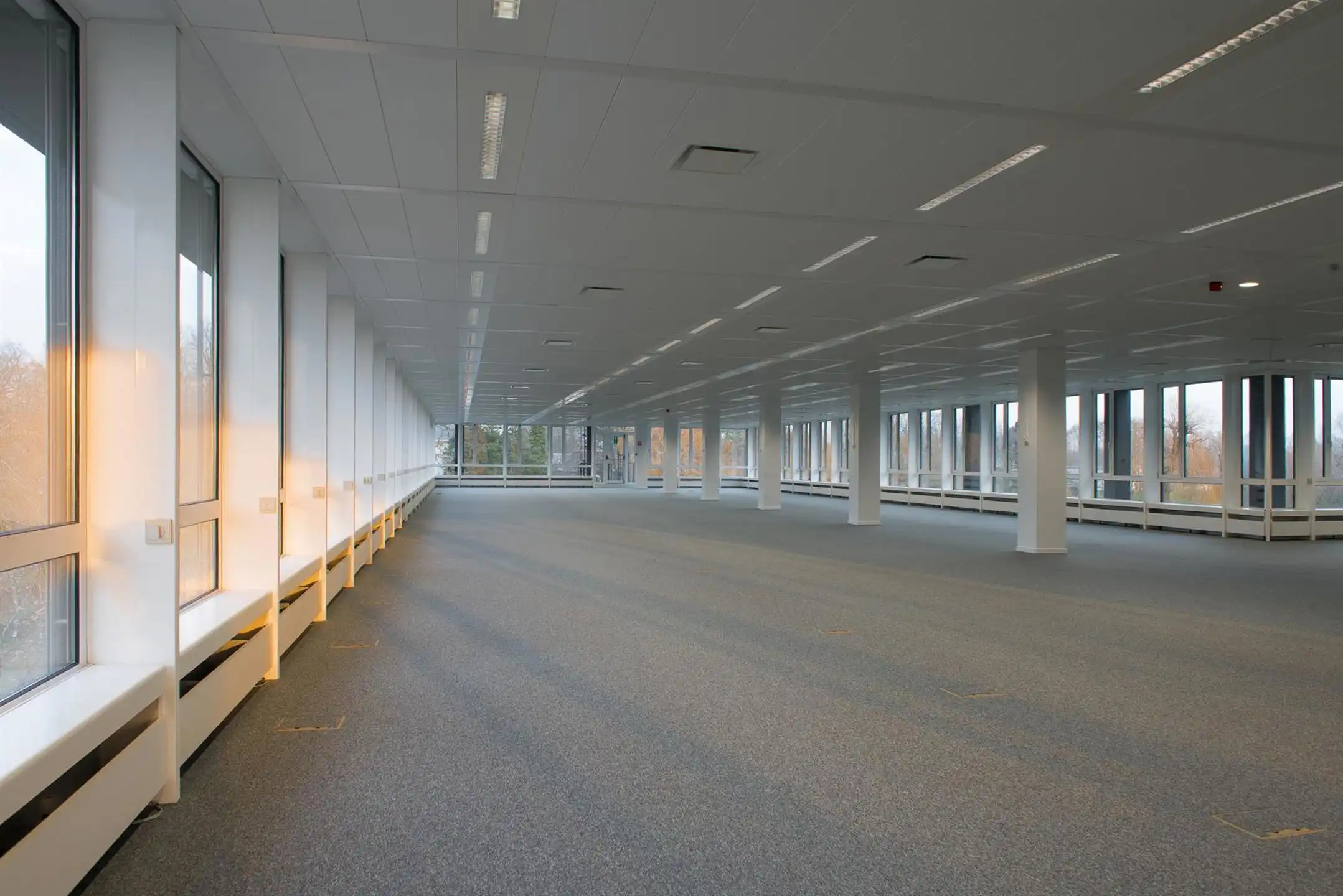 Moderne kantoren in groene omgeving  foto 3