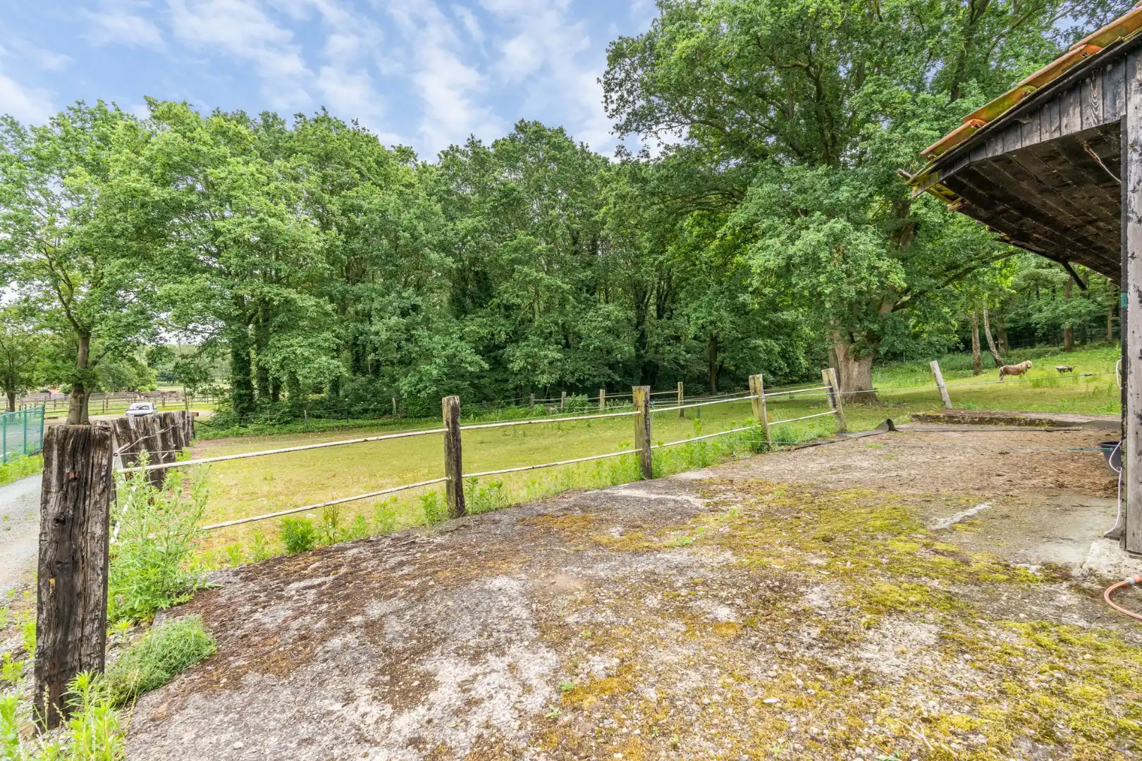 Uniek gelegen woning aan de bosrand op een perceel van 36a67ca waarvan 22a82ca geschikt is als paardenweide! foto 7